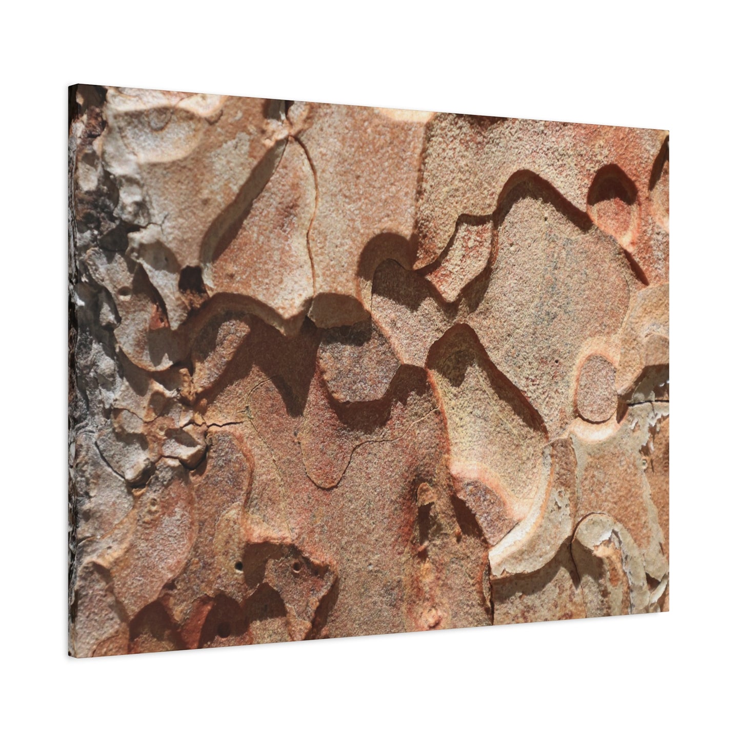 Terracotta Echoes - Unique Frameless Canvas Wall Art