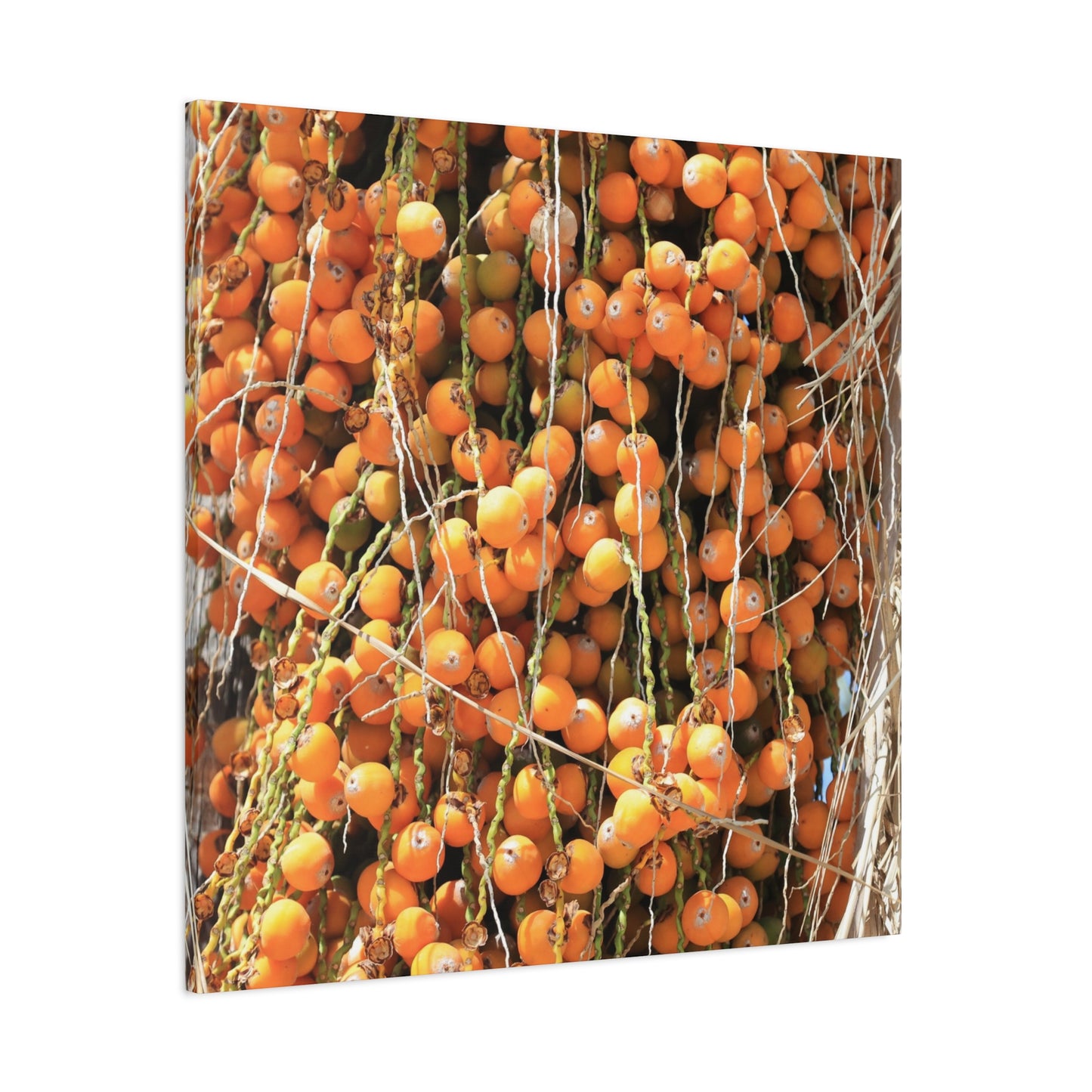Orange Harvest - Unique Frameless Canvas Wall Art