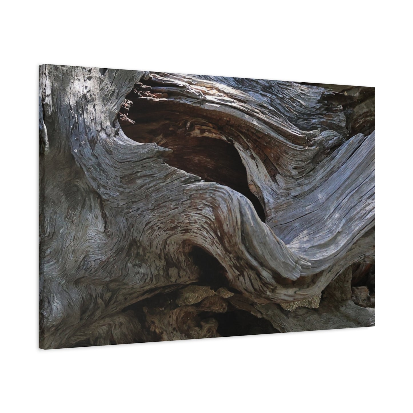 Twisted Fate - Unique Frameless Canvas Wall Art