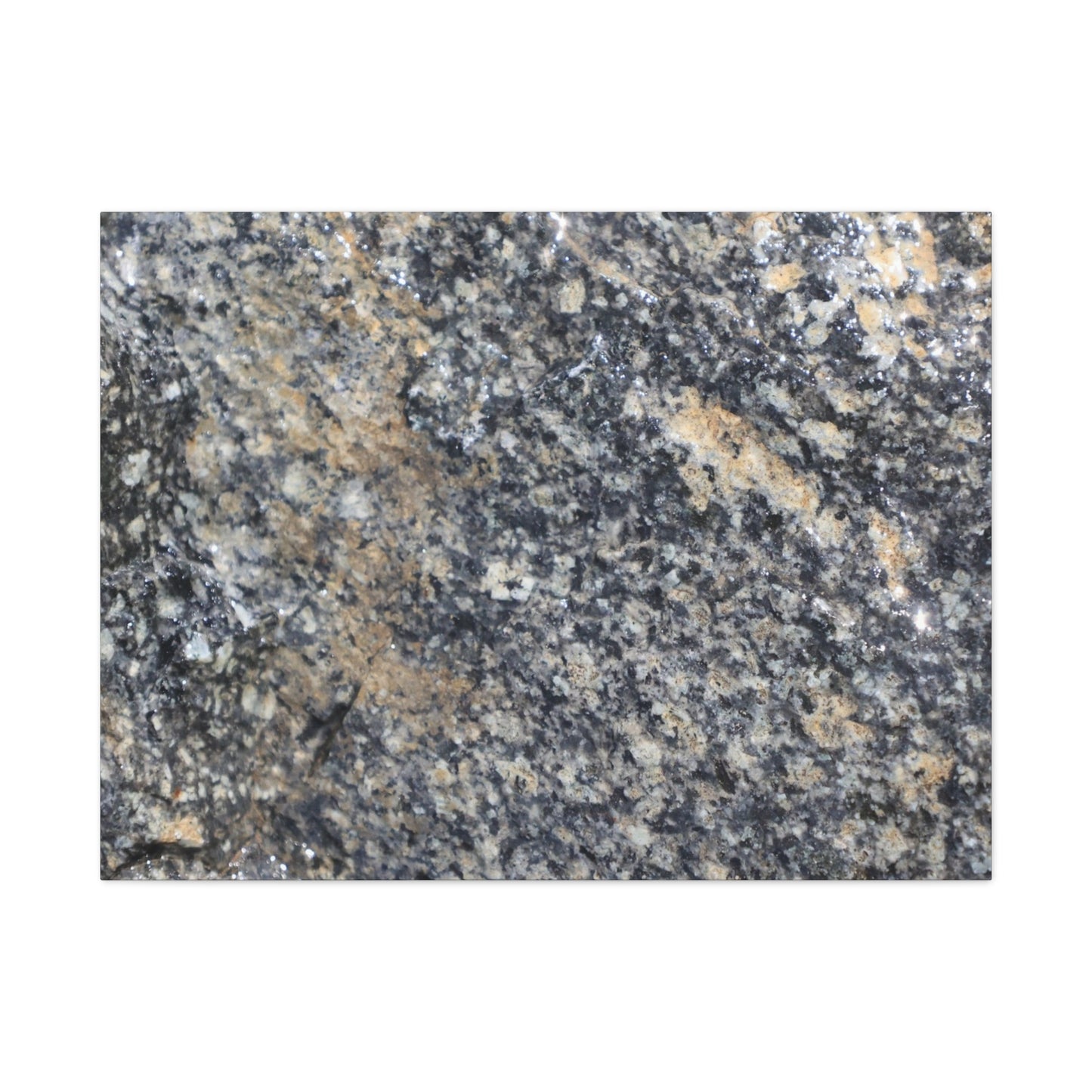 Metamorphic Memory - Unique Frameless Canvas Wall Art