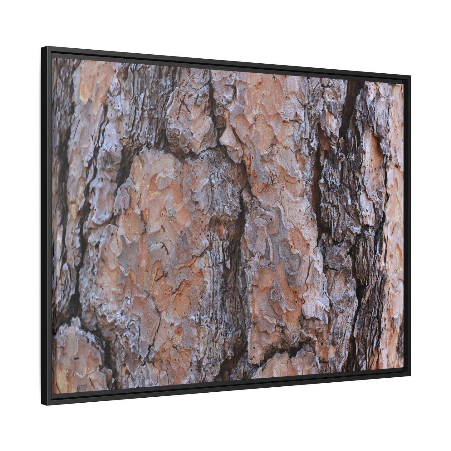 Tree Skin Symphony - Unique Stretched Canvas Wall Art
