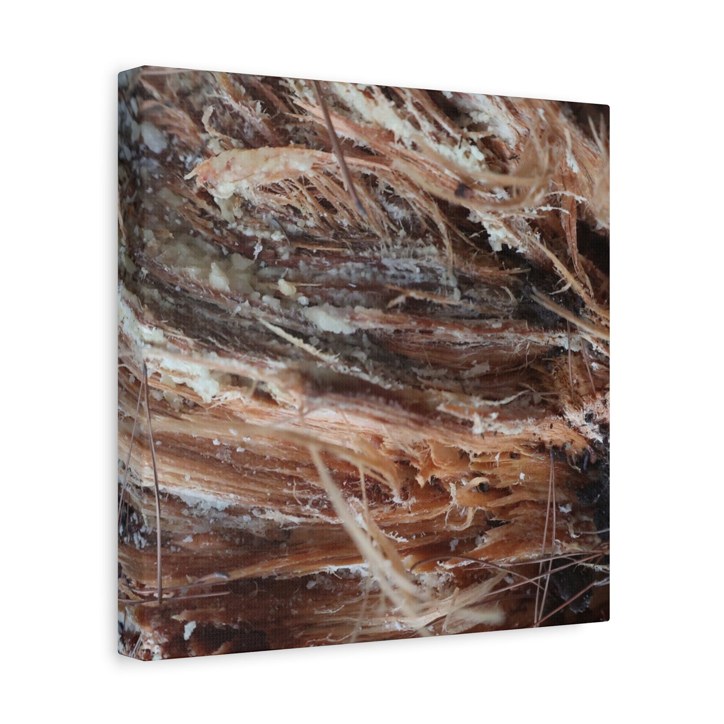 Decaying Whispers - Unique Frameless Canvas Wall Art