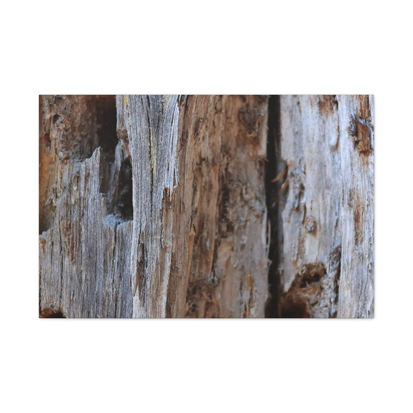 Timber Tapestry - Unique Frameless Canvas Wall Art