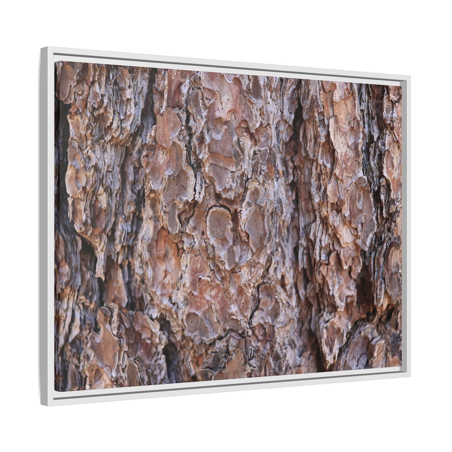 Woody Layers - Unique Stretched Canvas Wall Art