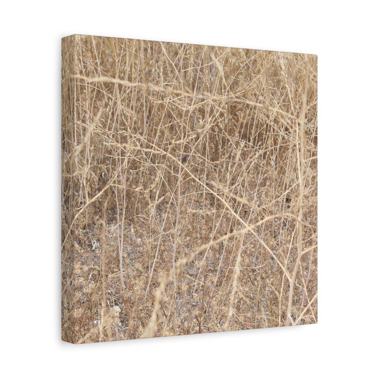 Dry Echoes - Unique Frameless Canvas Wall Art