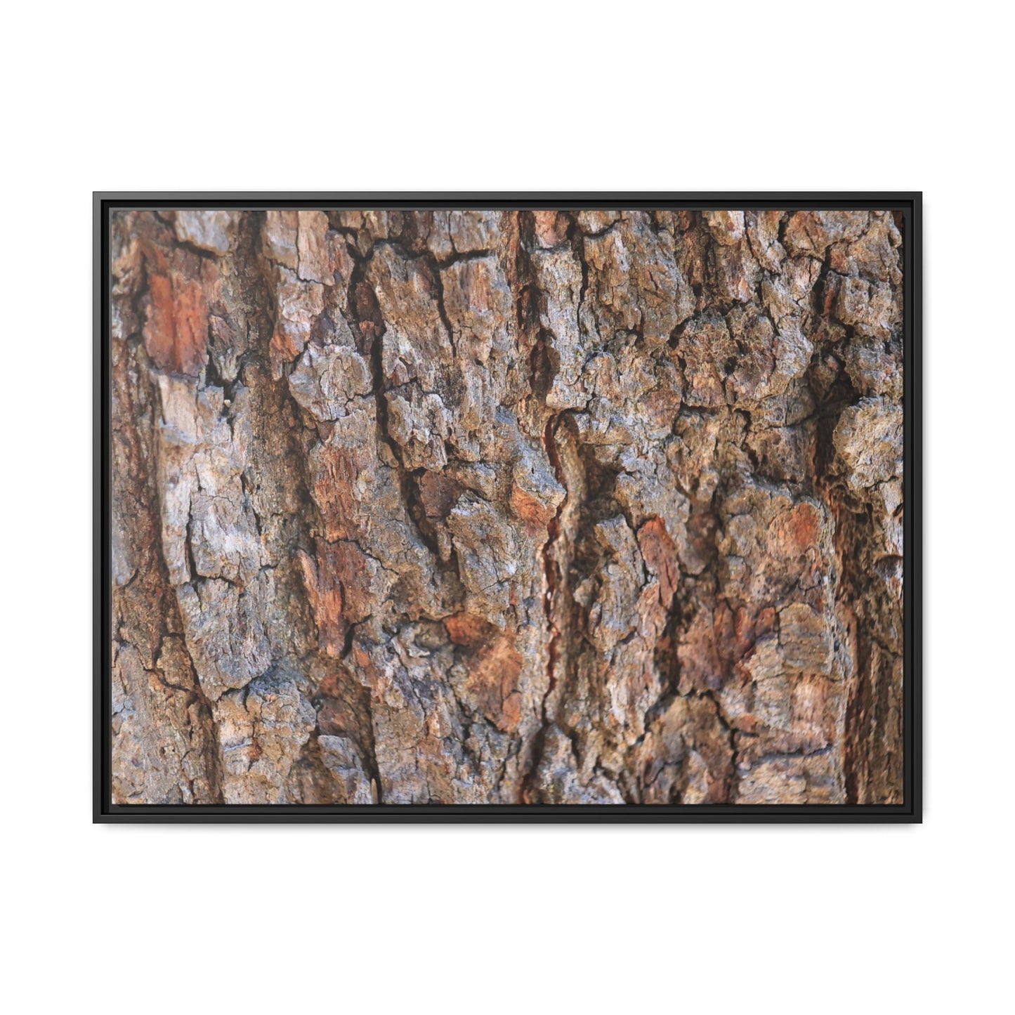 Tree's Timeworn Tale - Unique Stretched Canvas Wall Art