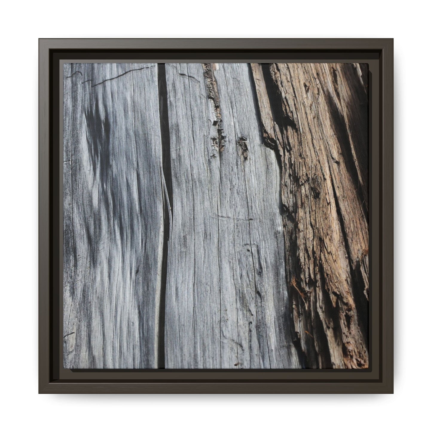 Wood's Lament - Unique Stretched Canvas Wall Art