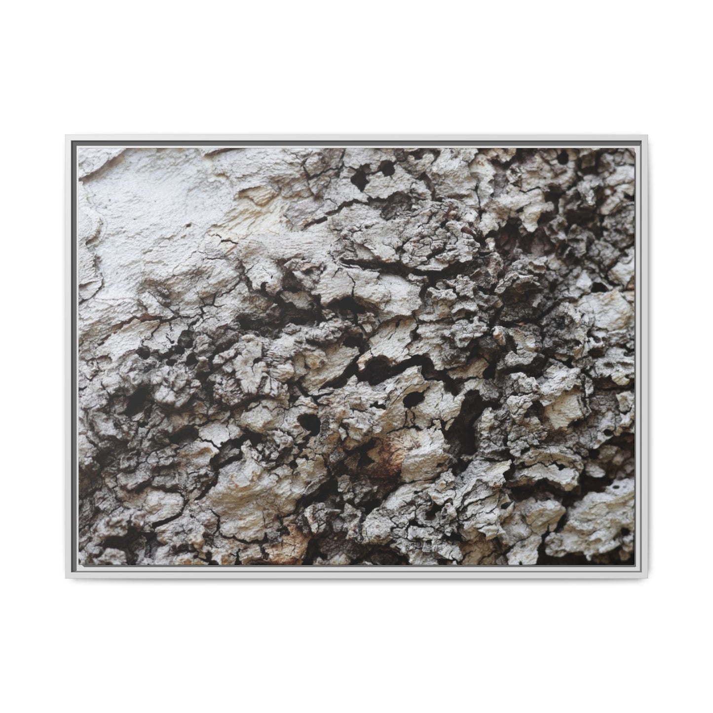 Cracked Terrain - Unique Stretched Canvas Wall Art