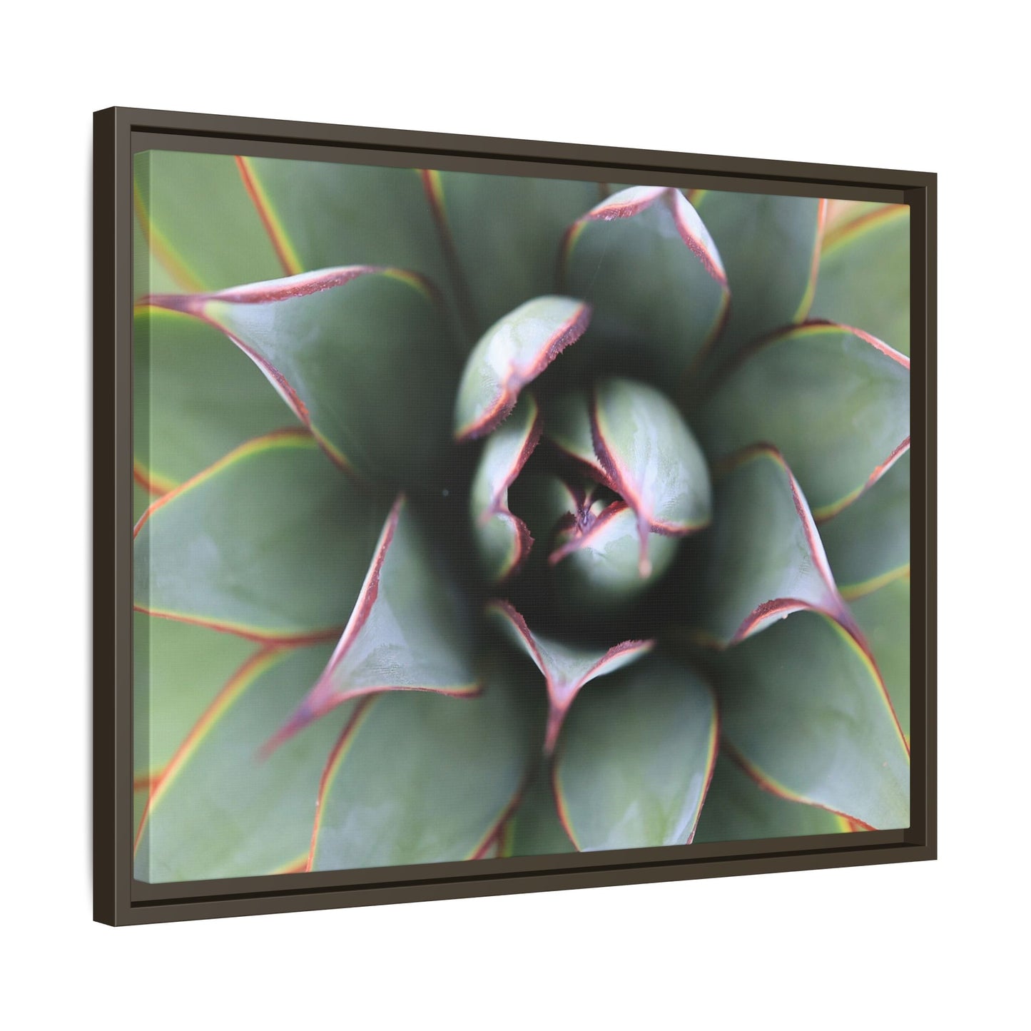 Spiky Elegance - Unique Stretched Canvas Wall Art