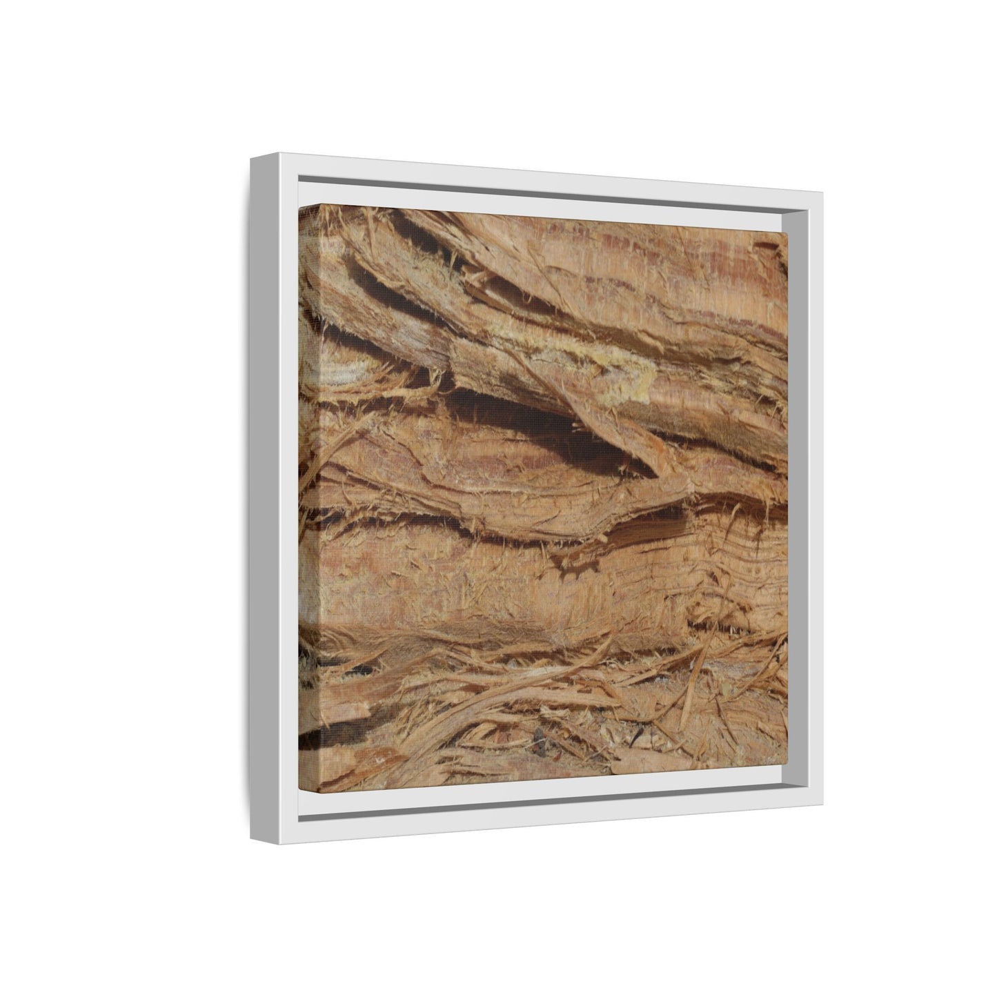 Splintered Bark - Unique Stretched Canvas Wall Art