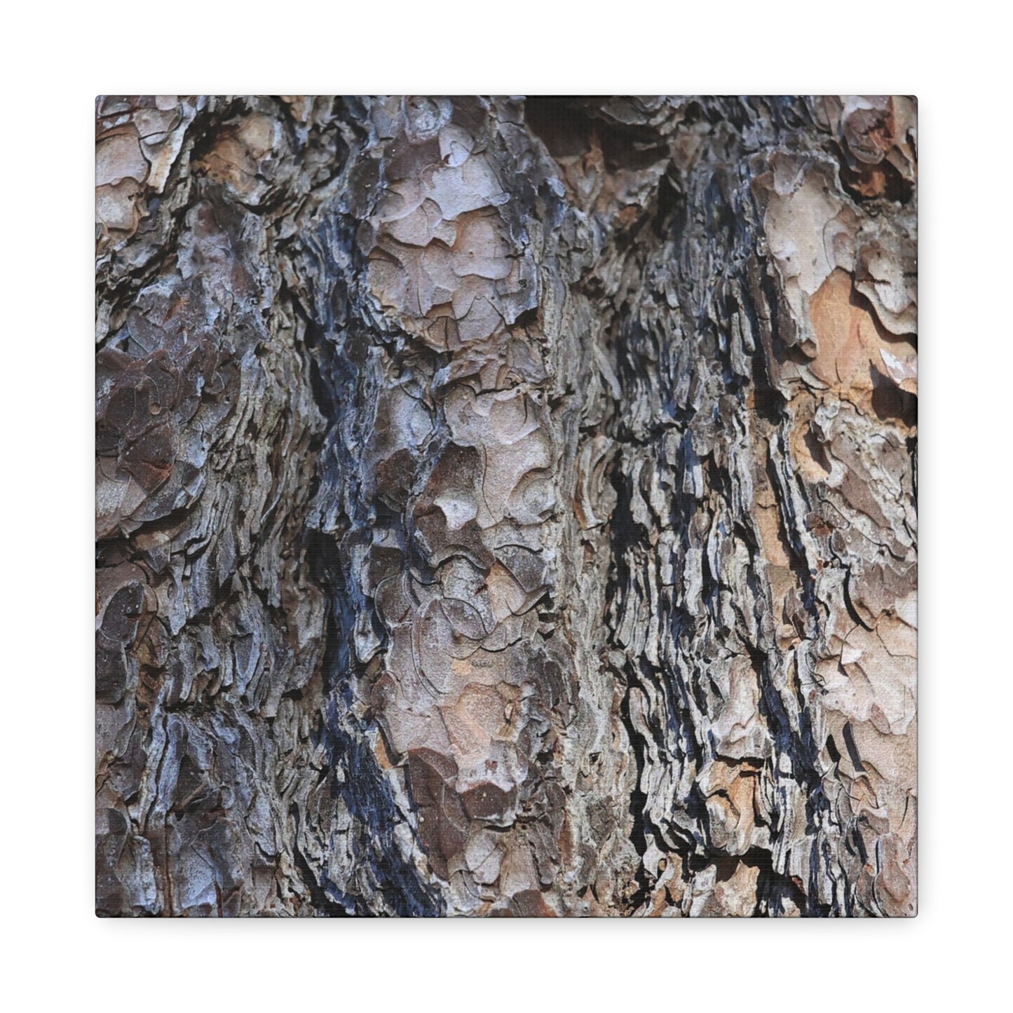 Bark's Rugged Symphony - Unique Frameless Canvas Wall Art