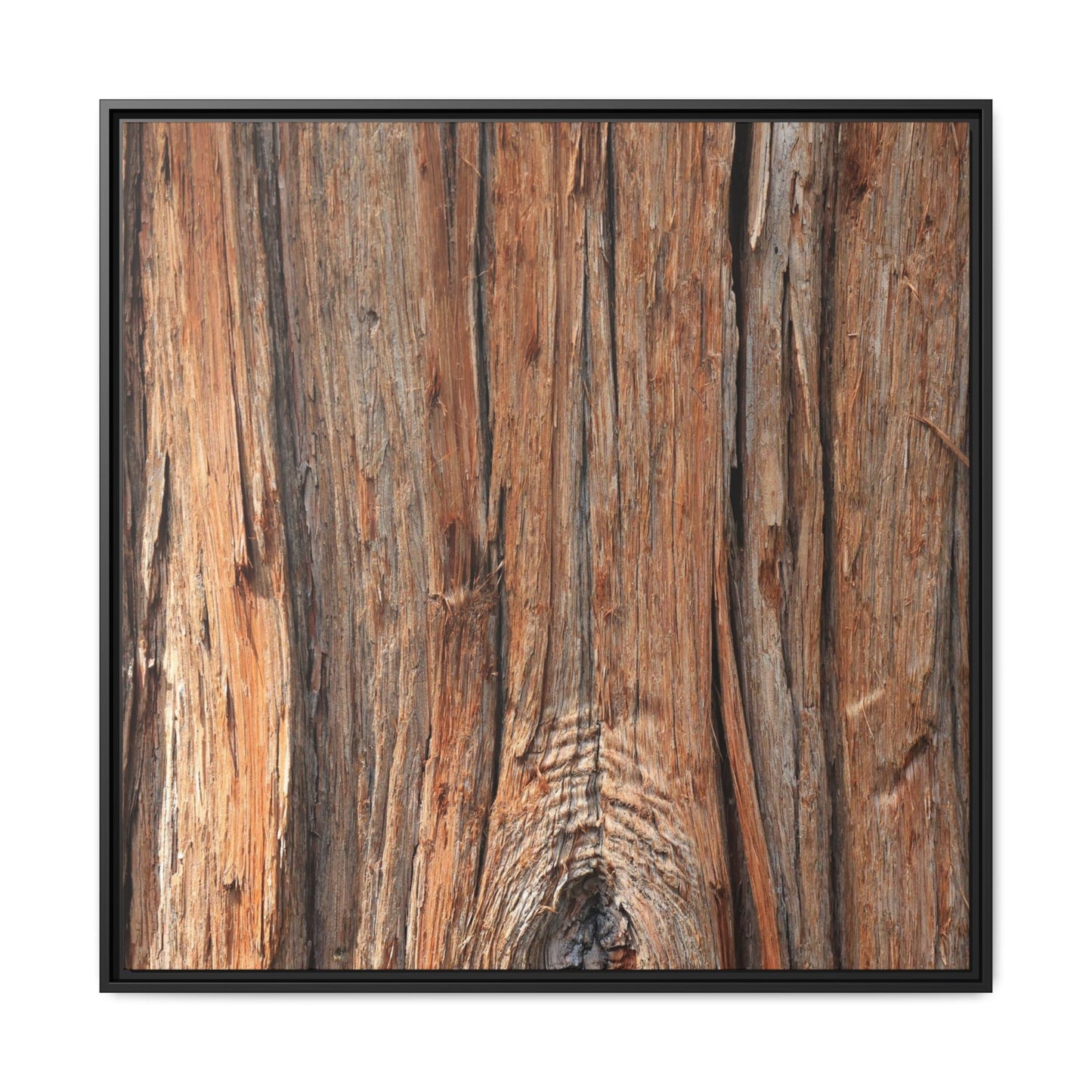 Echoes of Timber - Unique Stretched Canvas Wall Art