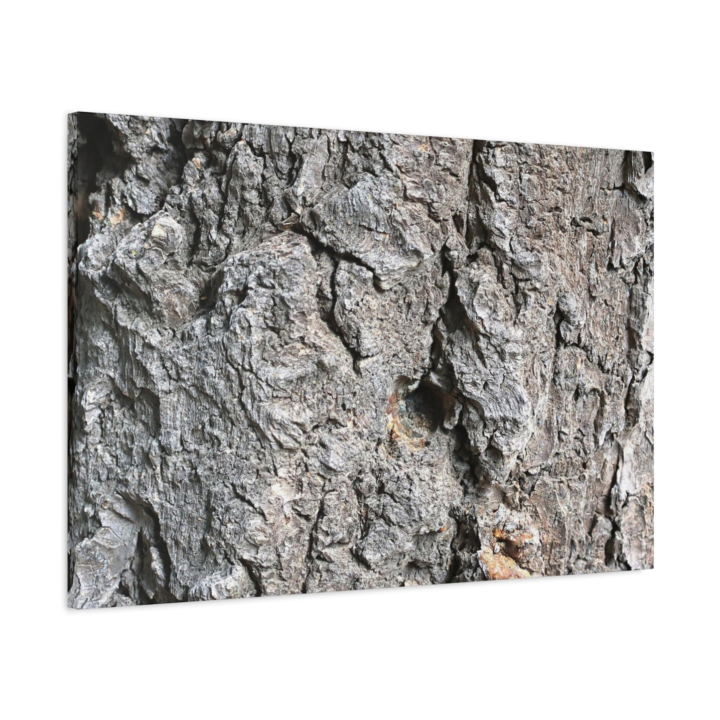 Elemental Canvas - Unique Frameless Canvas Wall Art