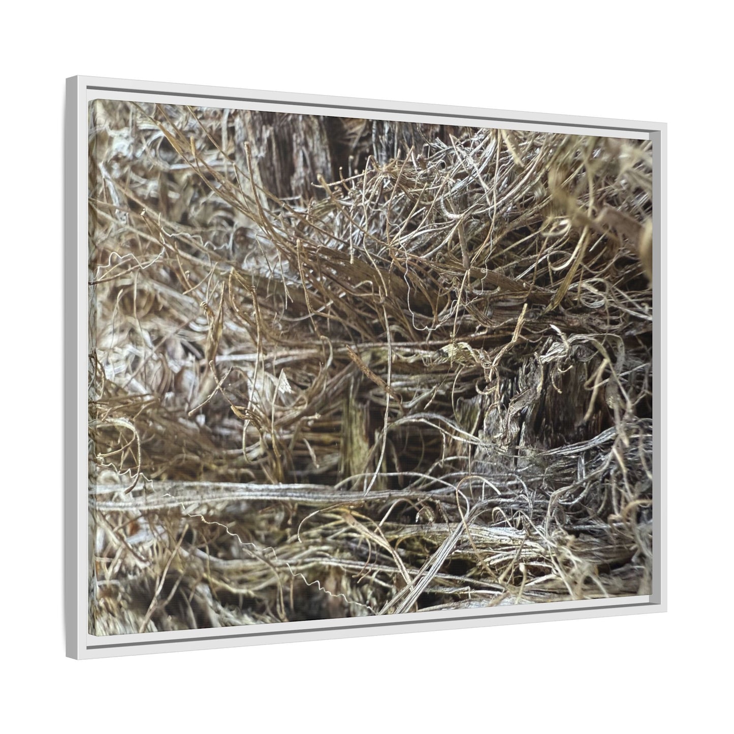 Tangled Whispers of Autumn - Unique Stretched Canvas Wall Art