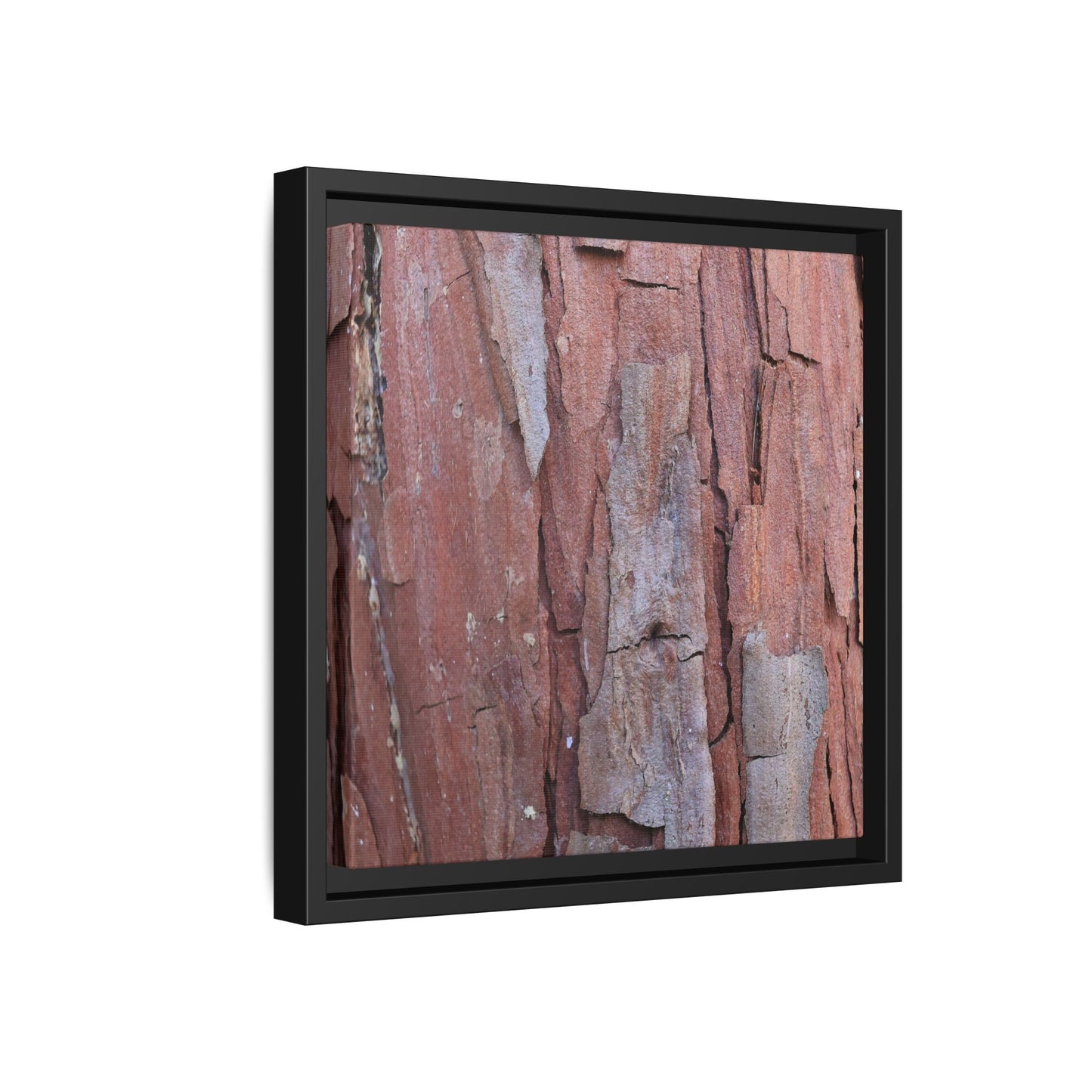 Peeling Bark - Unique Stretched Canvas Wall Art