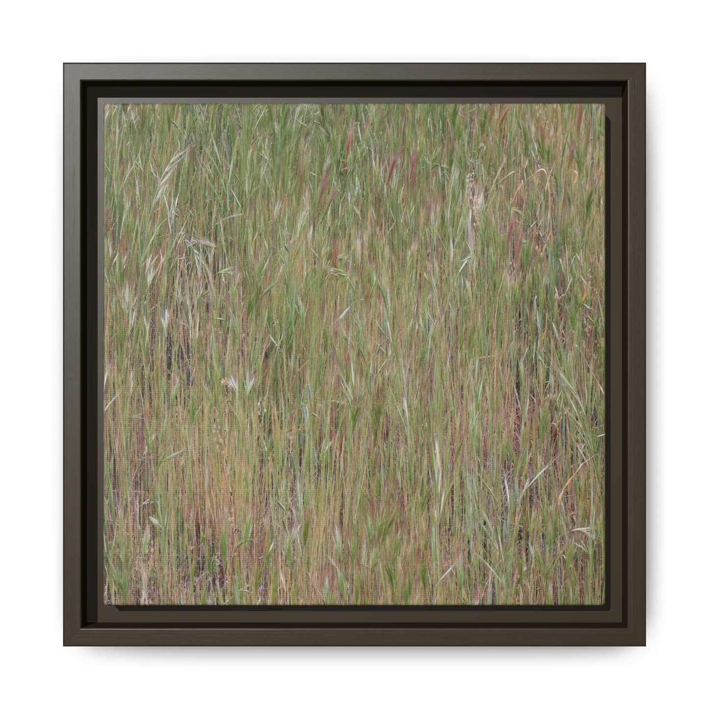 Field of Dreams - Unique Stretched Canvas Wall Art