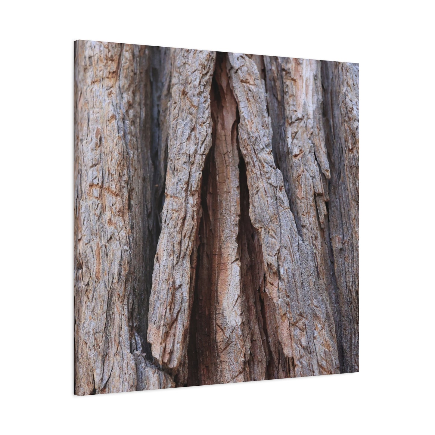 Fractured Skin of Time - Unique Frameless Canvas Wall Art