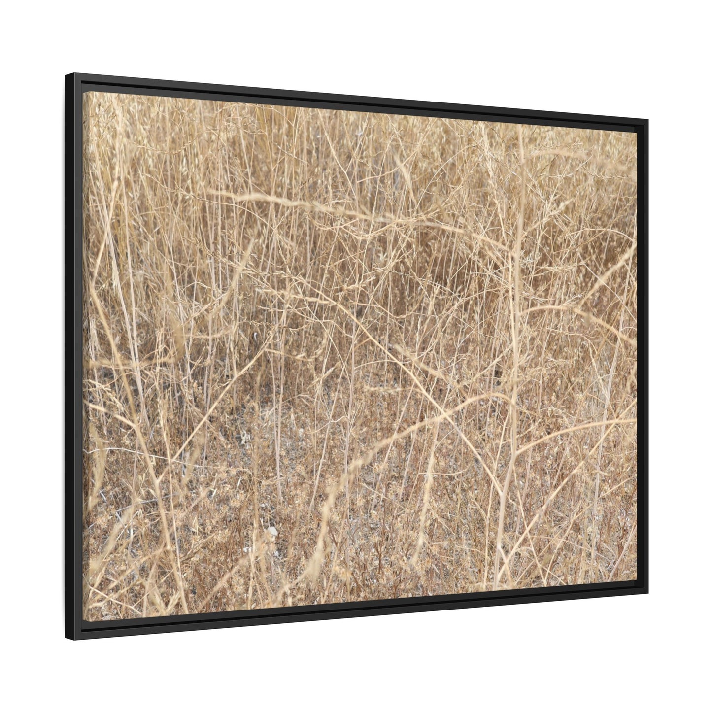 Golden Stalks - Unique Stretched Canvas Wall Art