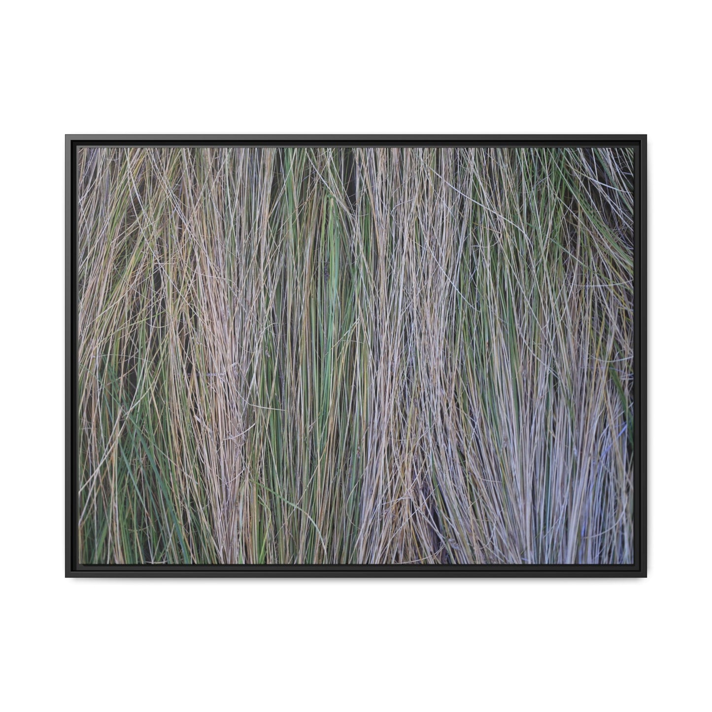 Whispers of Silver Grass - Unique Stretched Canvas Wall Art