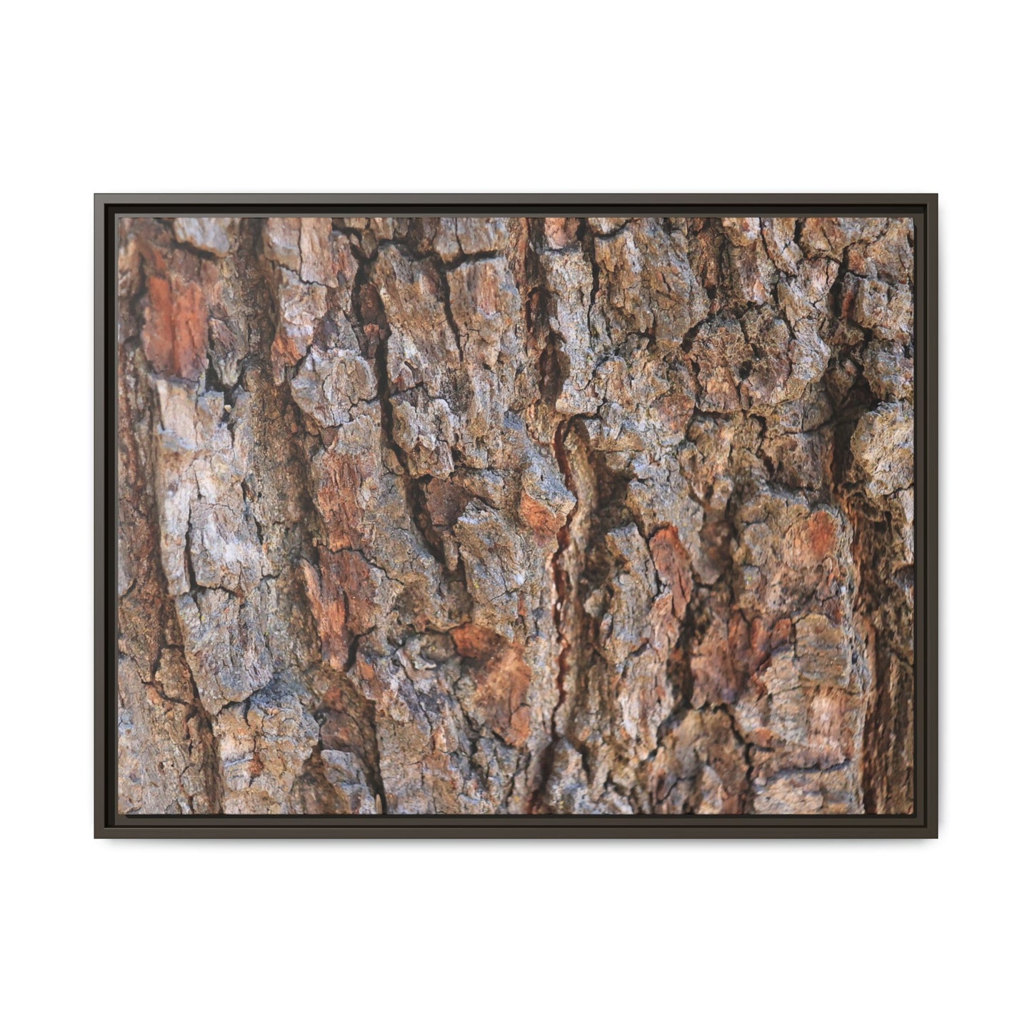 Tree's Timeworn Tale - Unique Stretched Canvas Wall Art