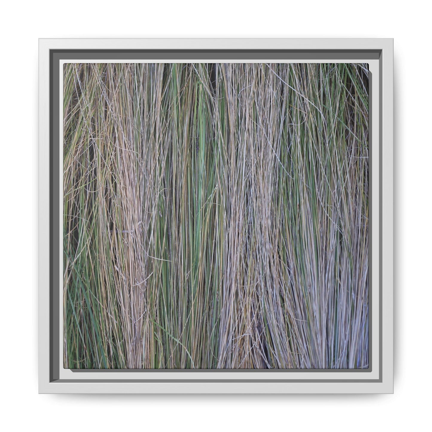 Whispers of Silver Grass - Unique Stretched Canvas Wall Art