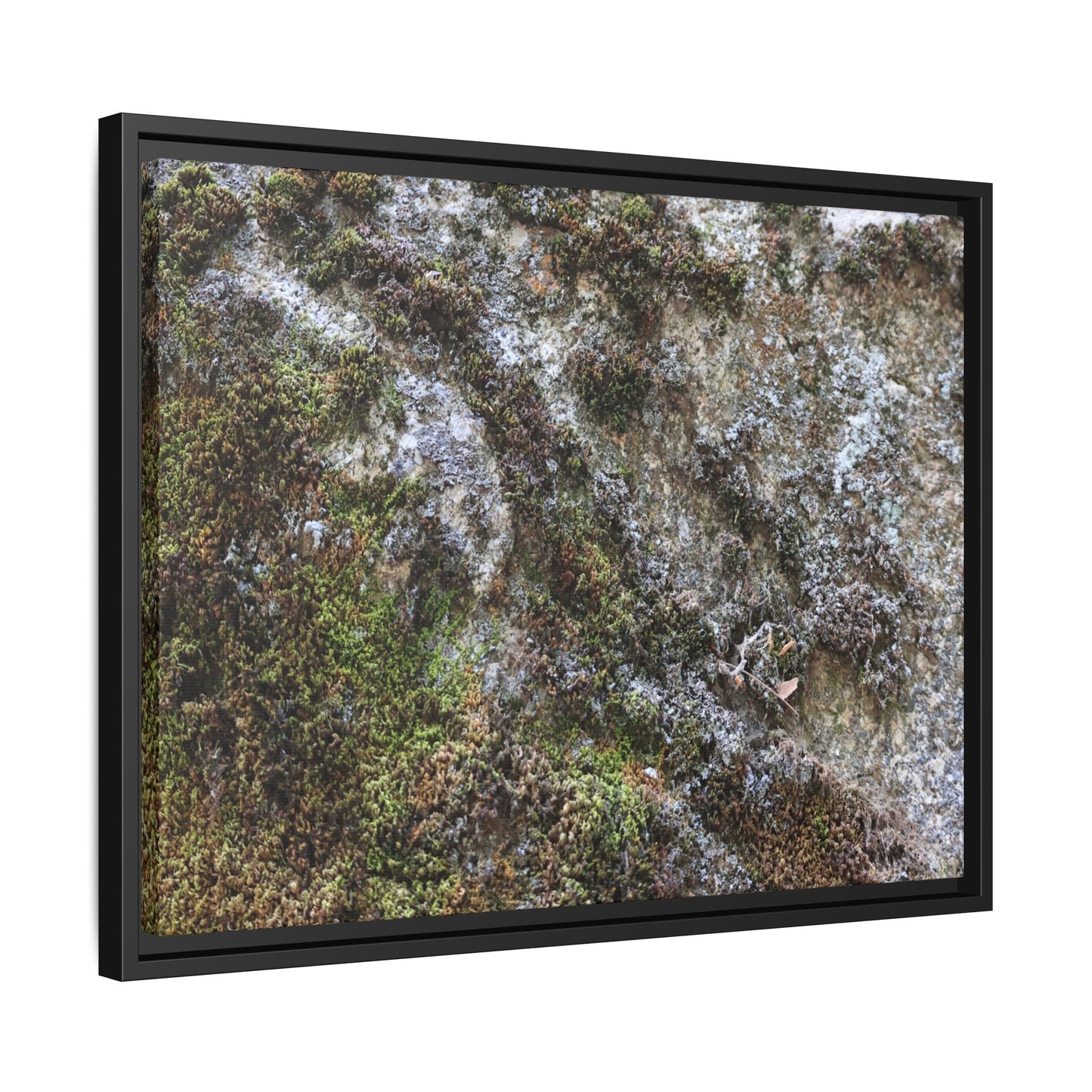 Mossy Whispers - Unique Stretched Canvas Wall Art