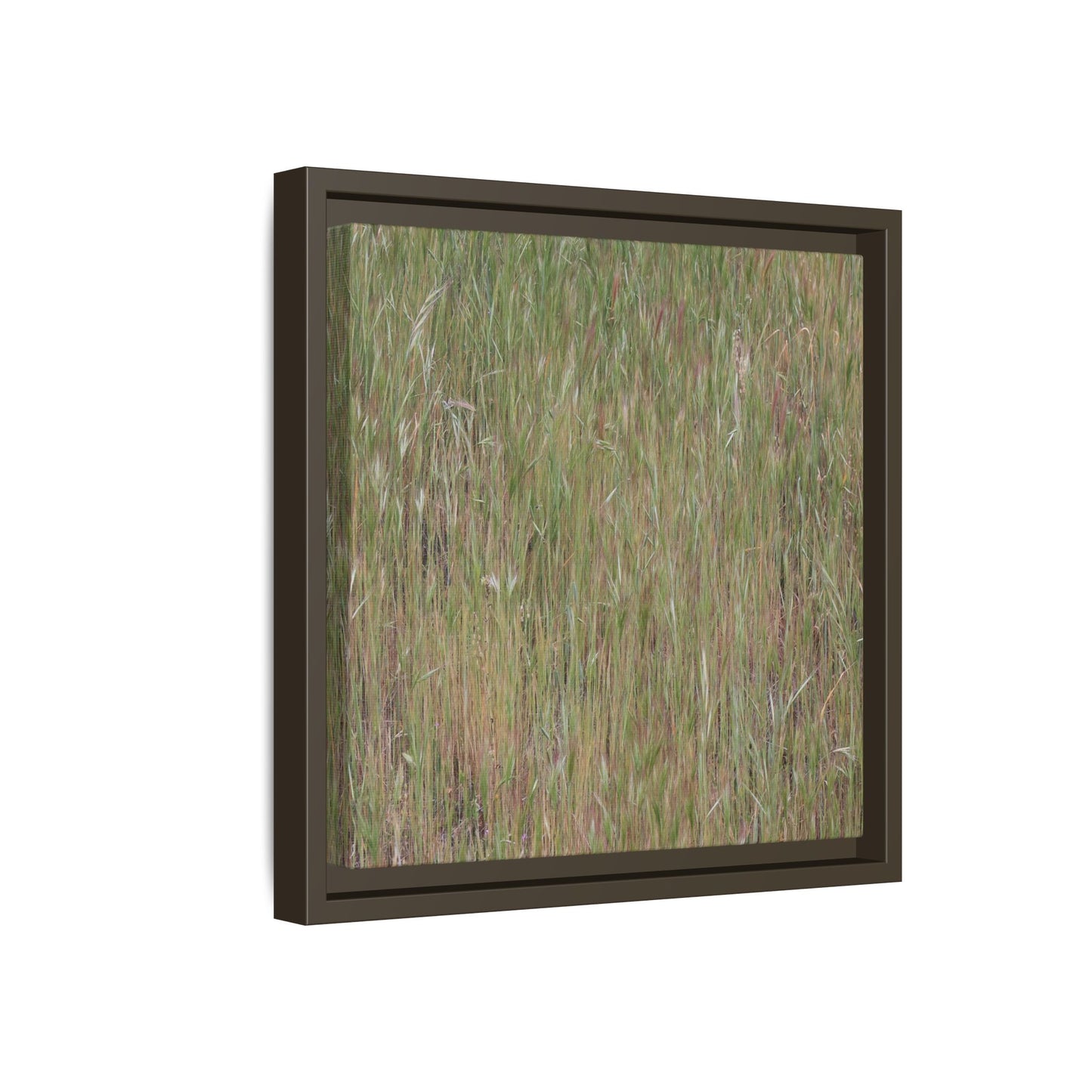 Field of Dreams - Unique Stretched Canvas Wall Art