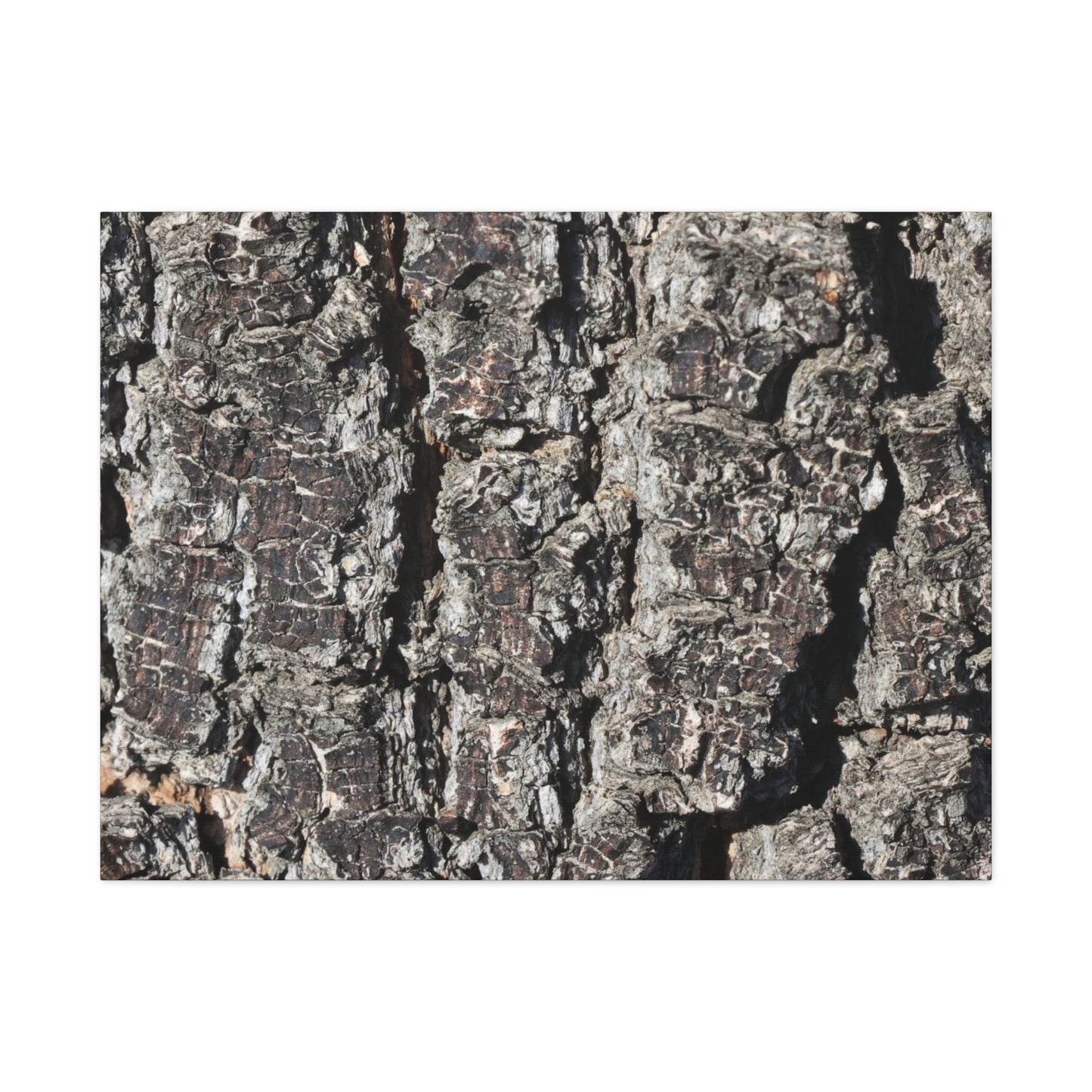 Cracked Skin of Earth - Unique Frameless Canvas Wall Art