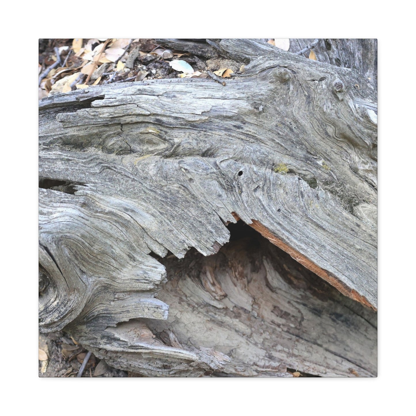 Whispers of Ancient Wood - Unique Frameless Canvas Wall Art