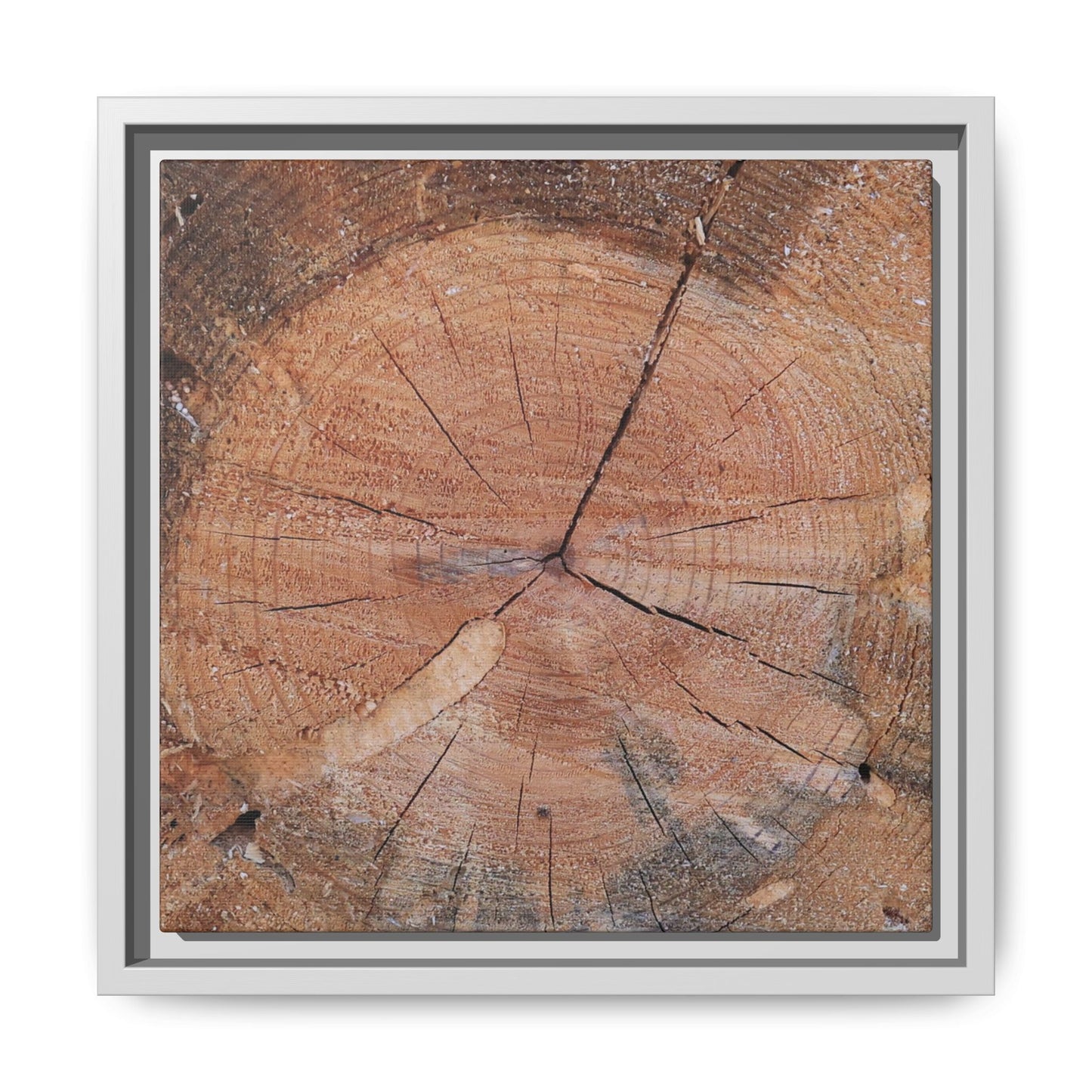 Concentric Memories - Unique Stretched Canvas Wall Art