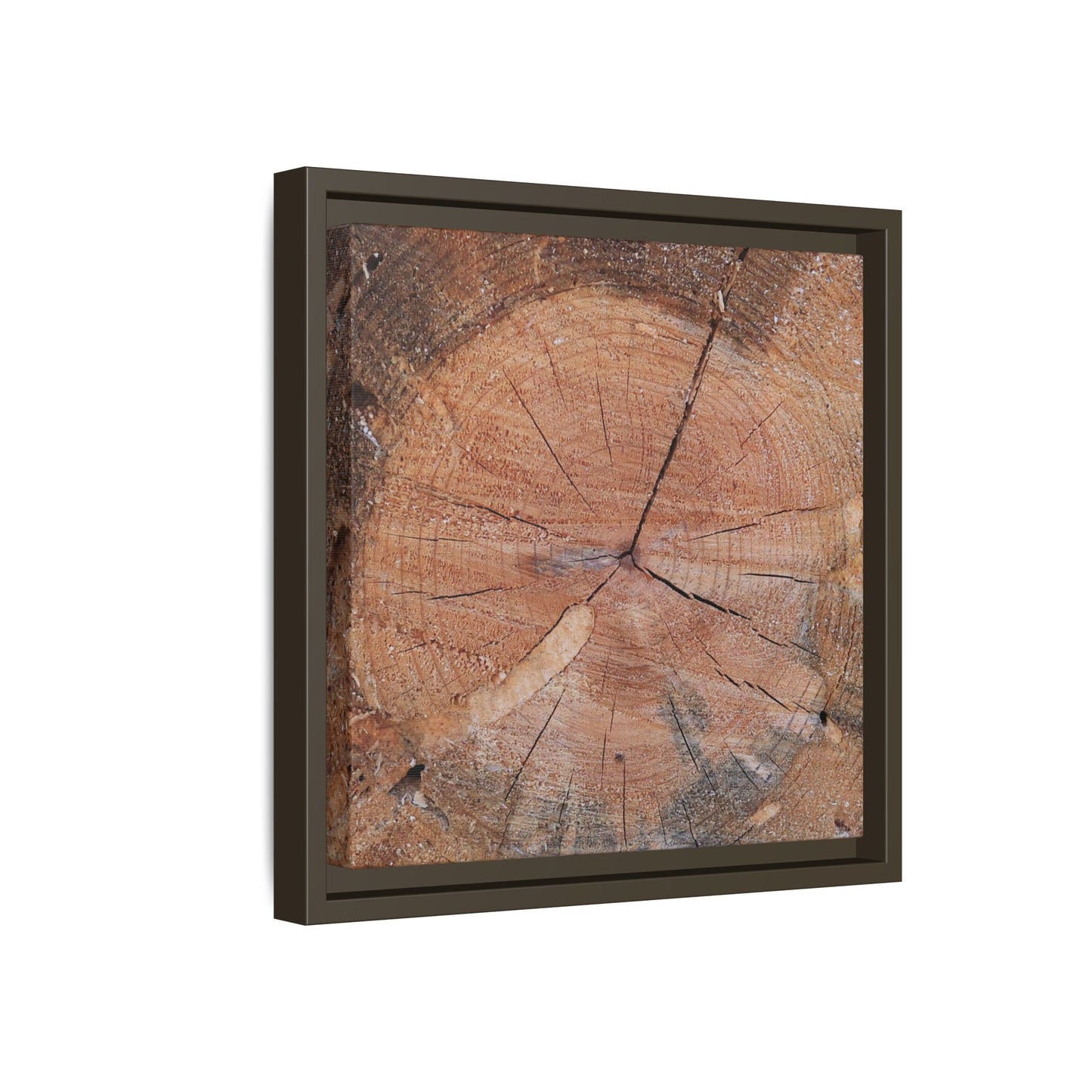 Concentric Memories - Unique Stretched Canvas Wall Art