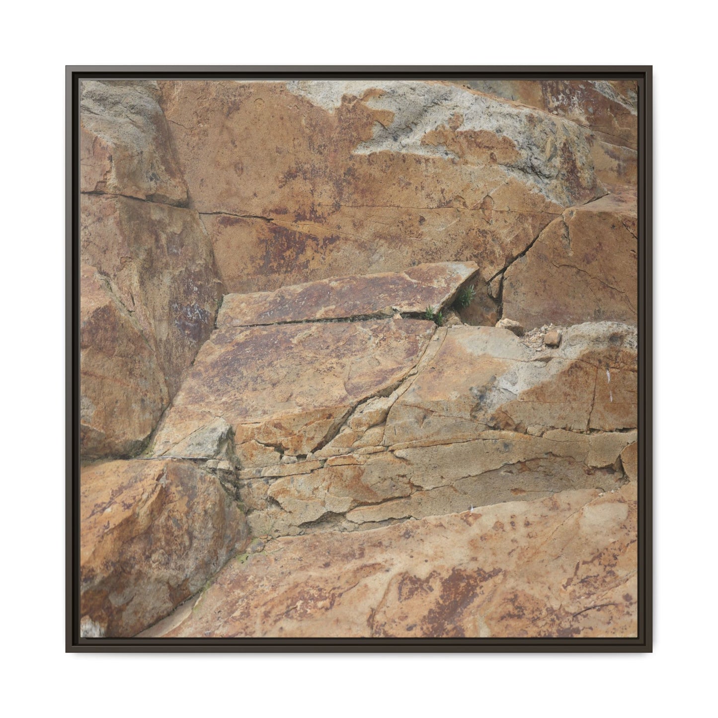 Ancient Foundations - Unique Stretched Canvas Wall Art