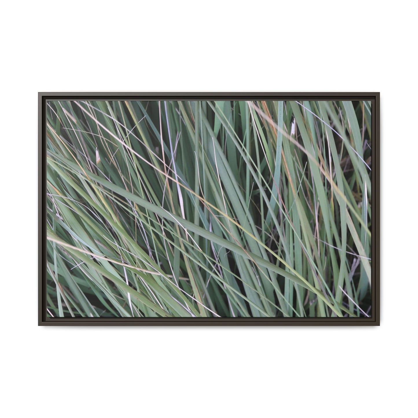 Grassland Symphony - Unique Stretched Canvas Wall Art