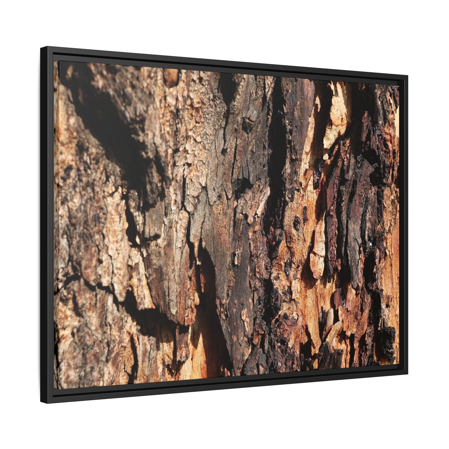 Rugged Beauty - Unique Stretched Canvas Wall Art