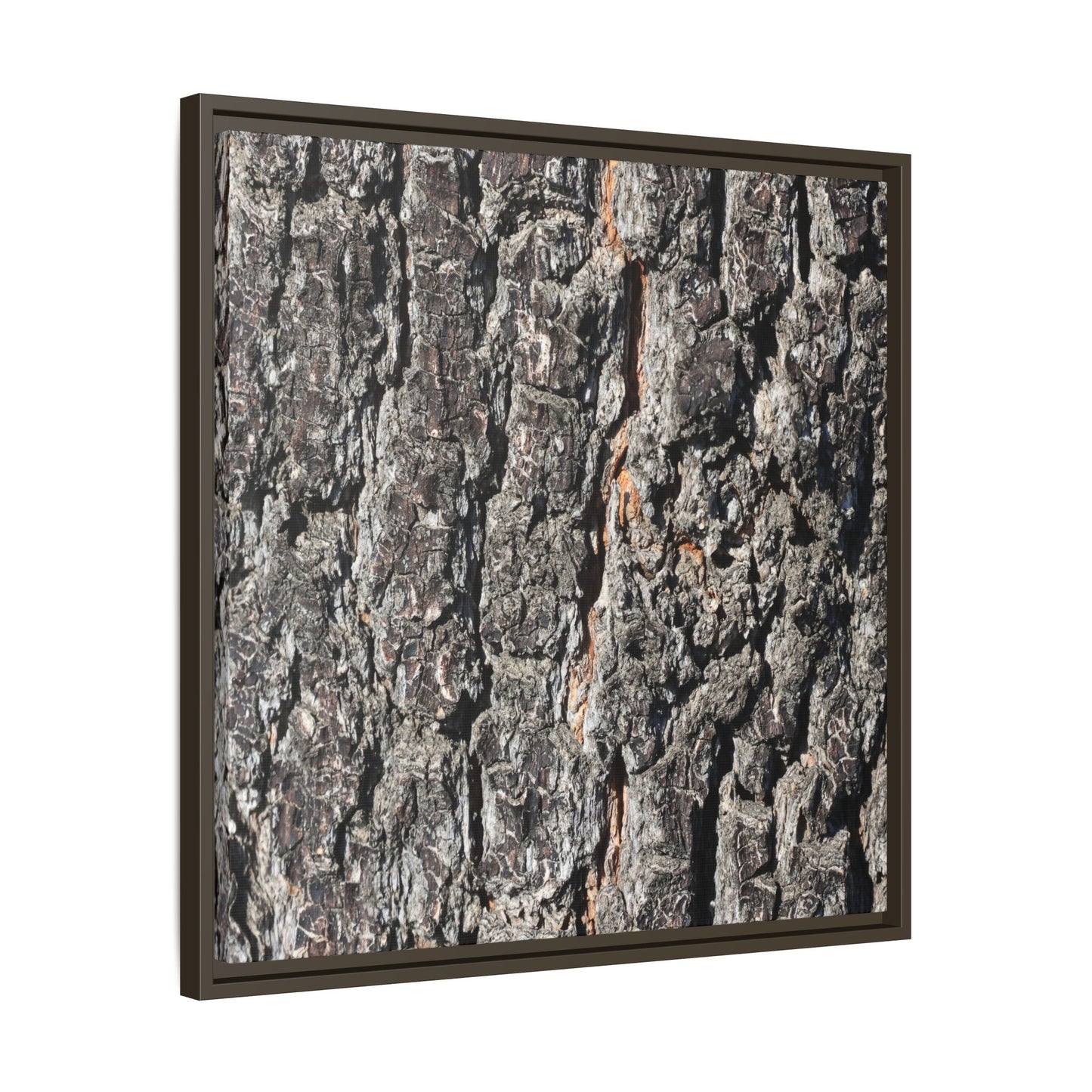 Aged Beauty - Unique Stretched Canvas Wall Art
