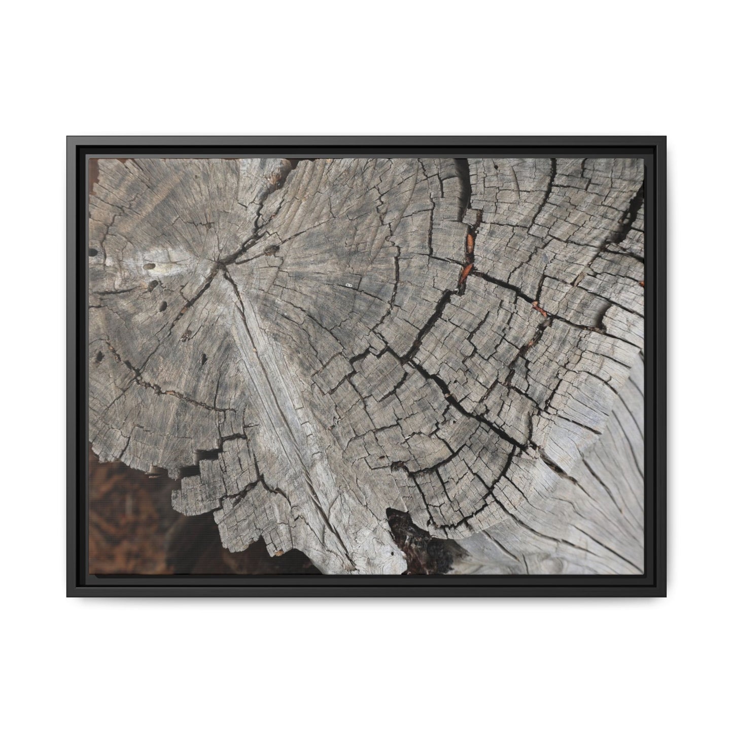 Time's Signature - Unique Stretched Canvas Wall Art