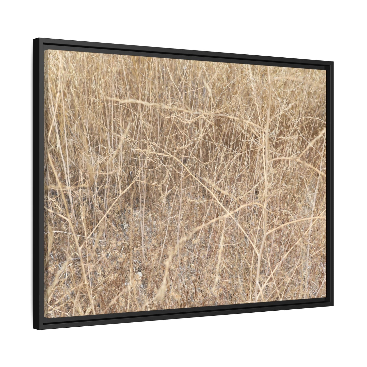 Golden Stalks - Unique Stretched Canvas Wall Art
