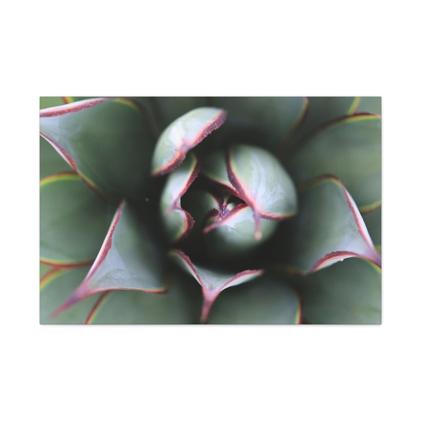 Emerald Spiral - Unique Frameless Canvas Wall Art