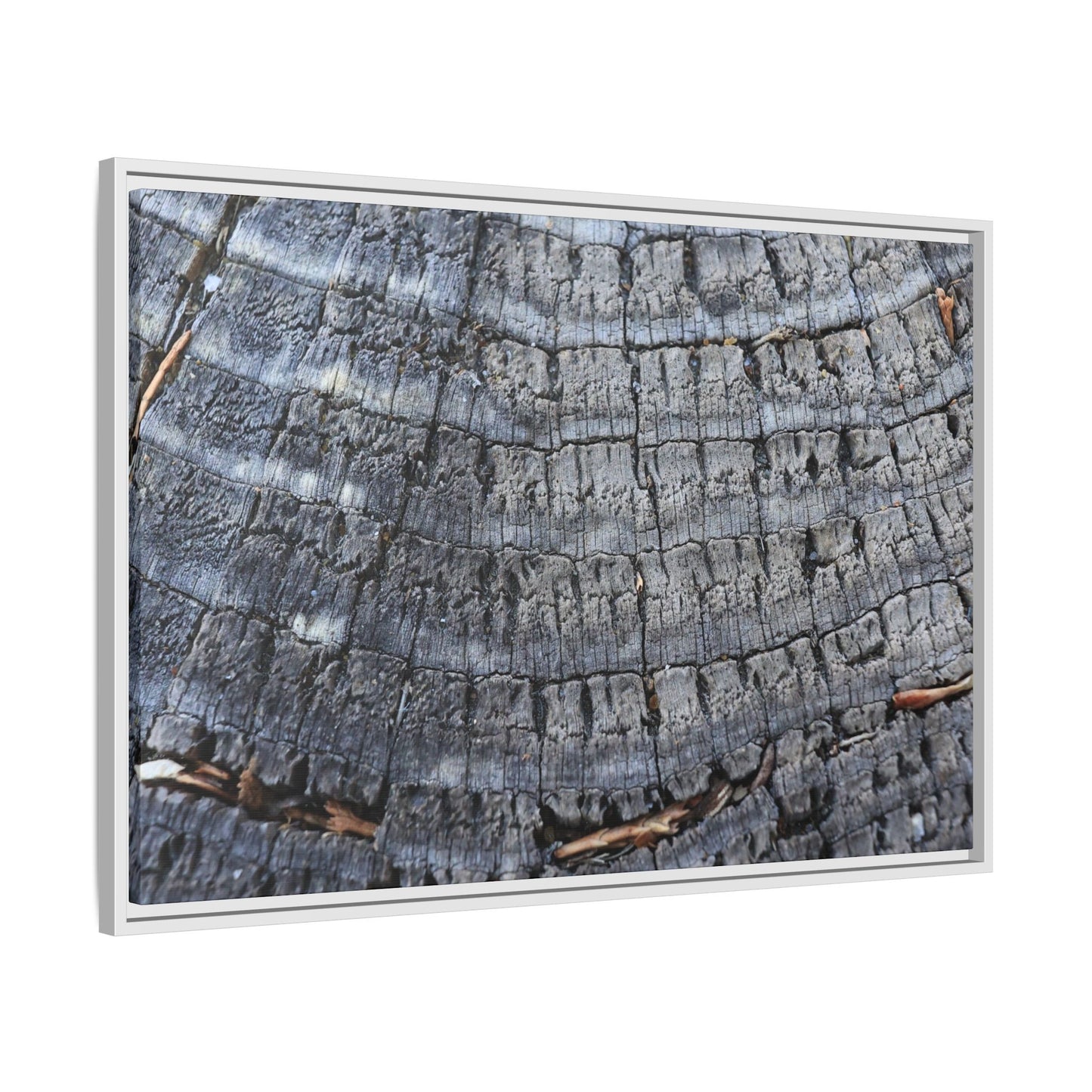 Charred Memories - Unique Stretched Canvas Wall Art
