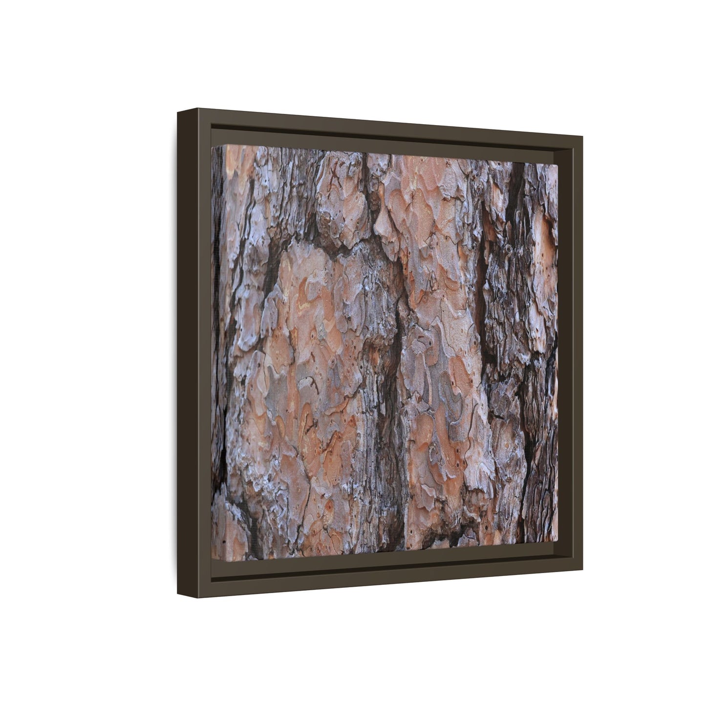 Tree Skin Symphony - Unique Stretched Canvas Wall Art