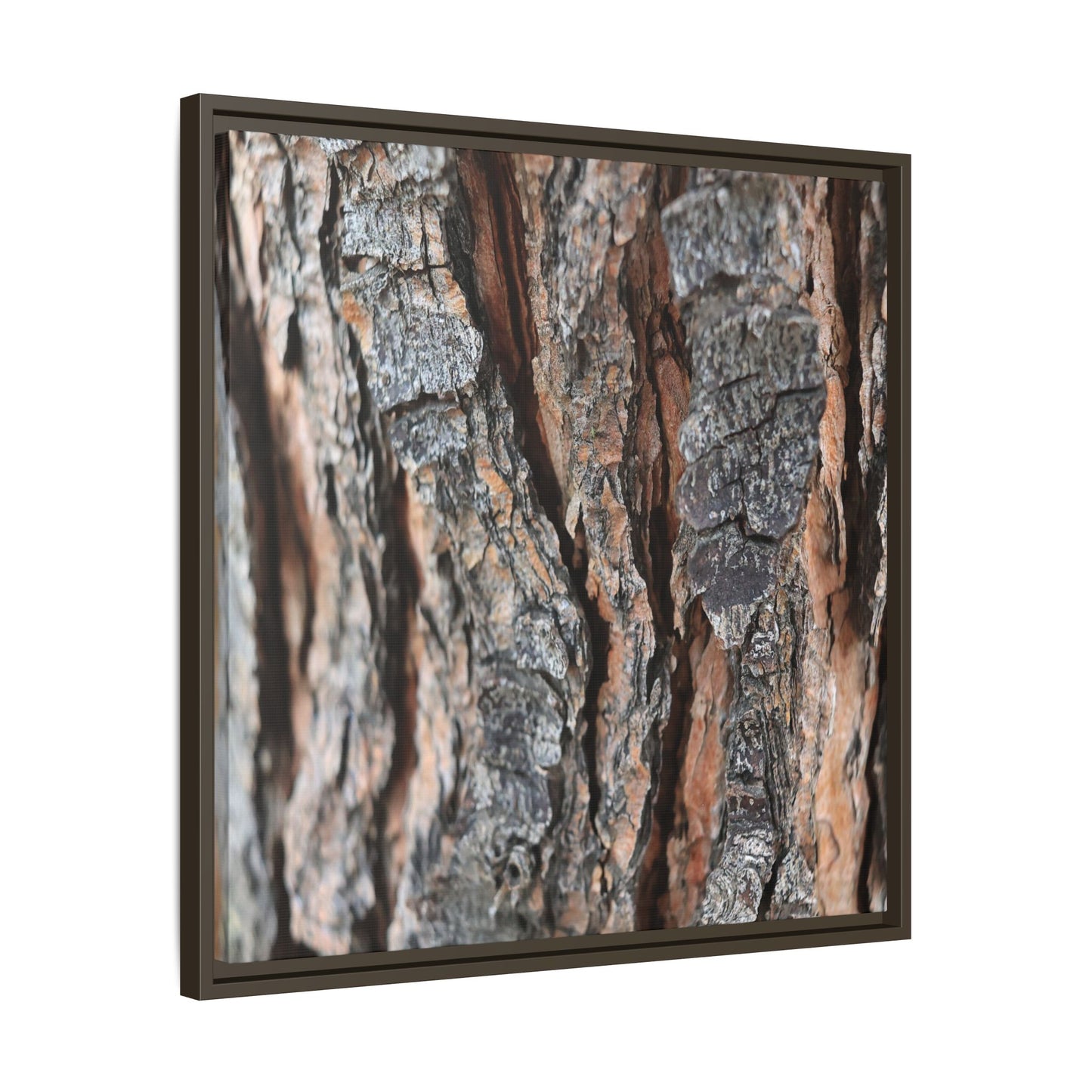 Fractured Nature - Unique Stretched Canvas Wall Art
