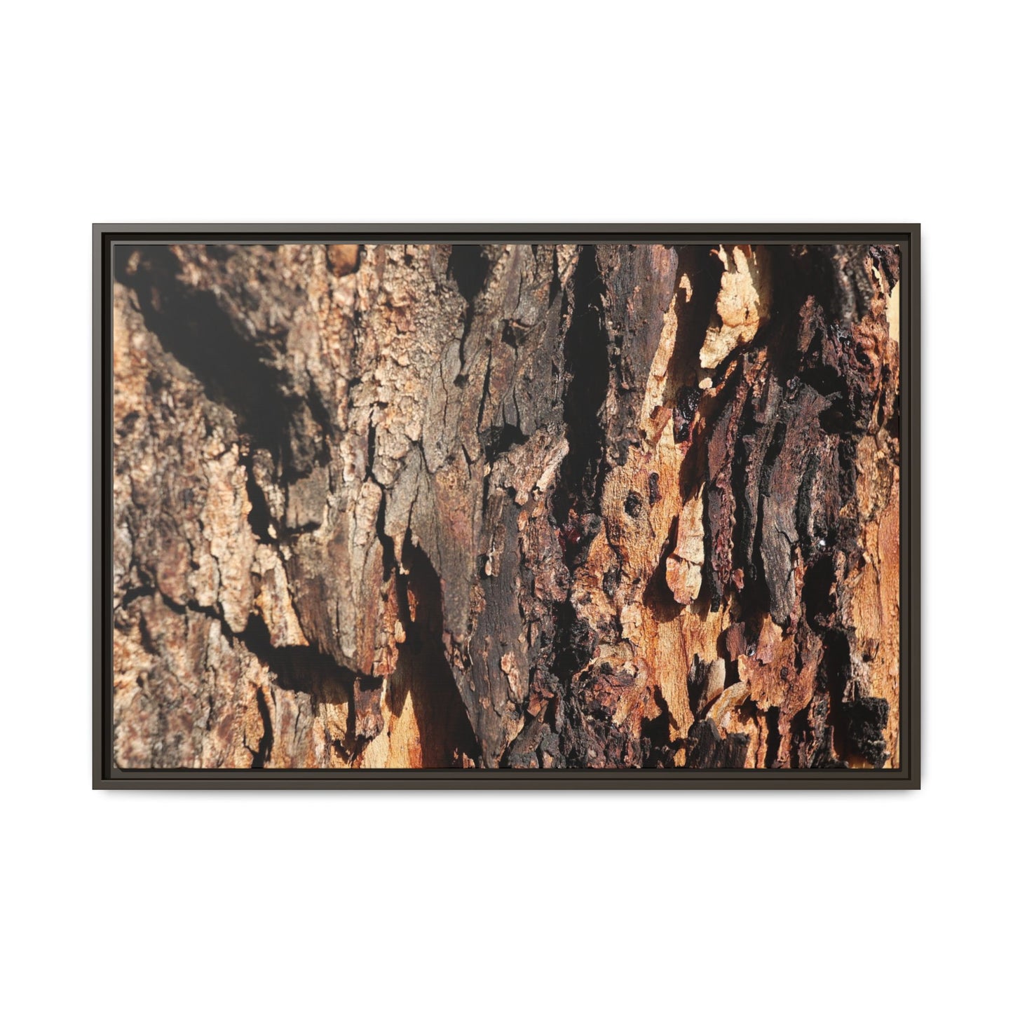 Rugged Beauty - Unique Stretched Canvas Wall Art