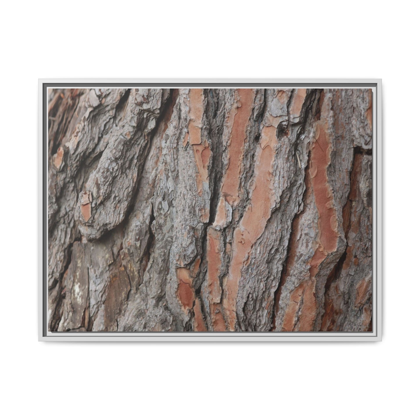 Woodland Layers - Unique Stretched Canvas Wall Art
