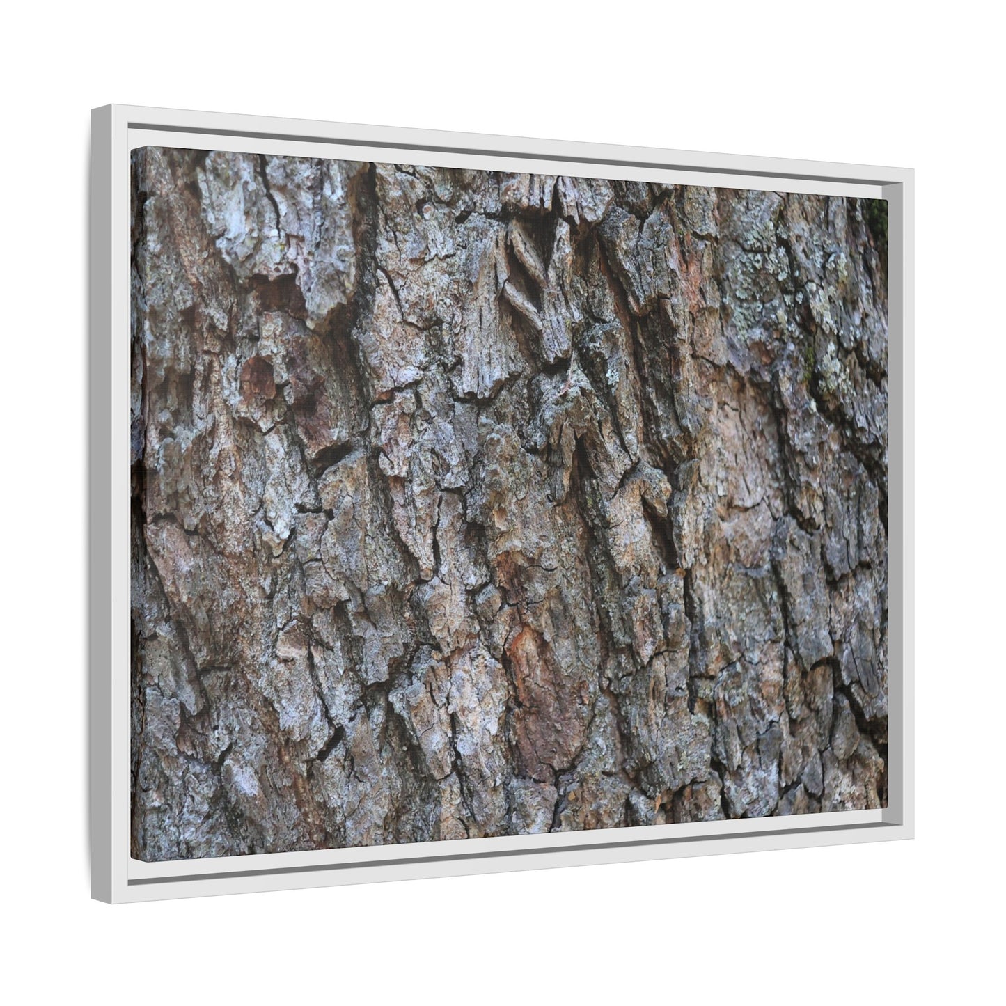 Woodland Skin - Unique Stretched Canvas Wall Art