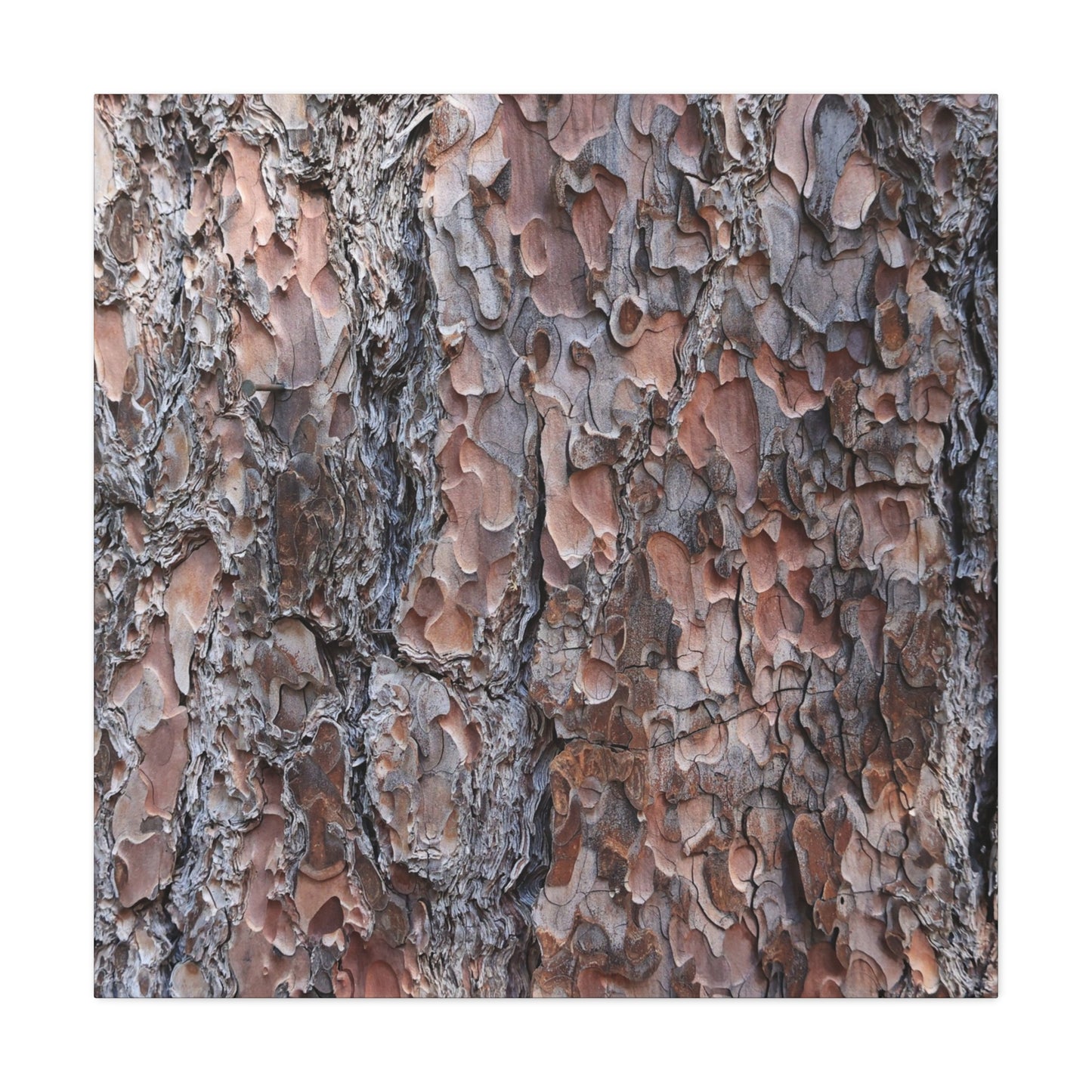 Woodland Armor - Unique Frameless Canvas Wall Art
