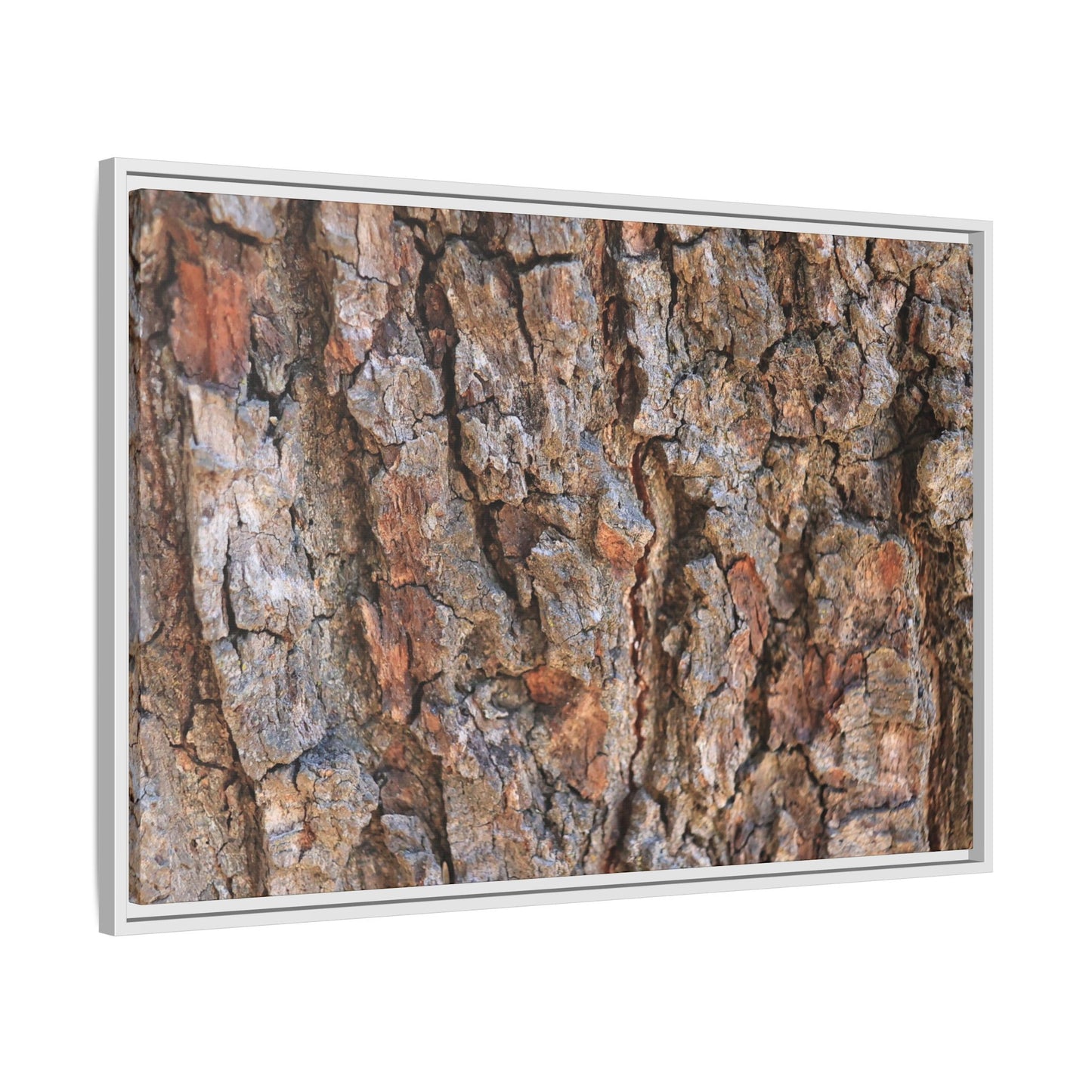 Tree's Timeworn Tale - Unique Stretched Canvas Wall Art