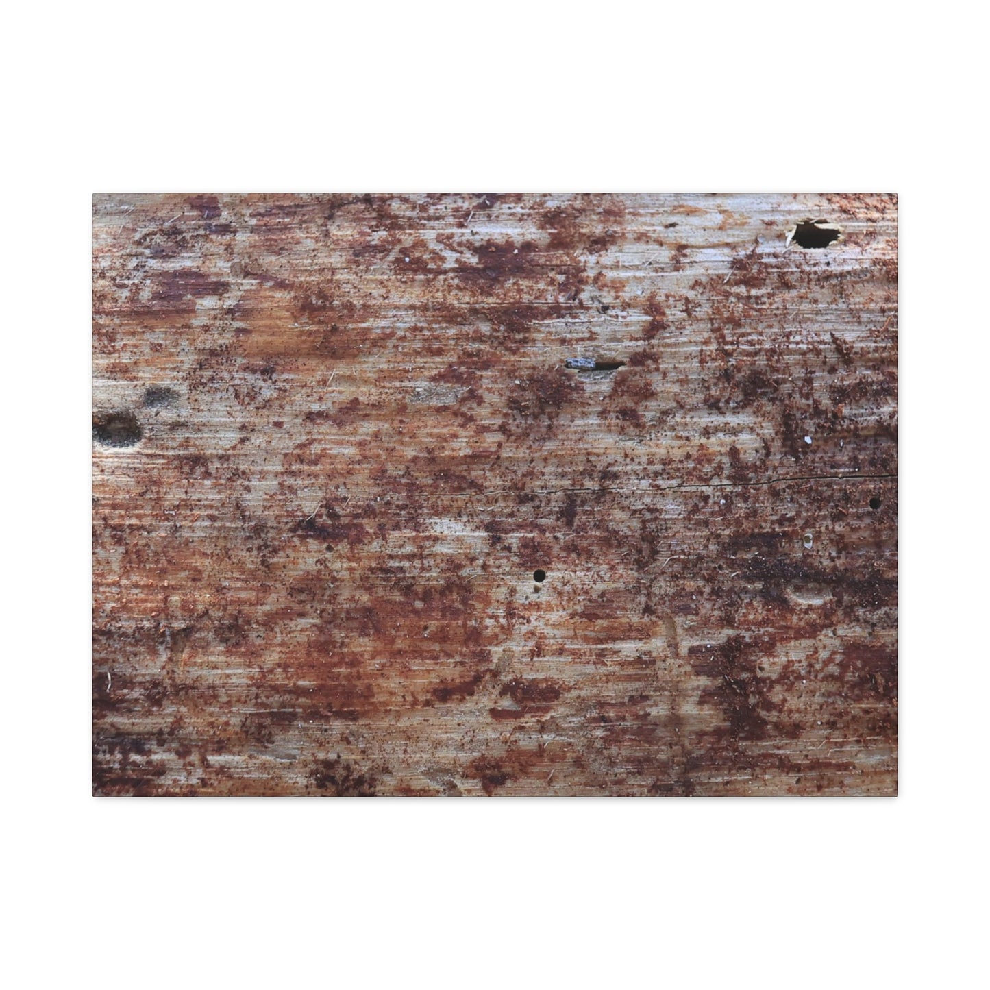 Decaying Memoir - Unique Frameless Canvas Wall Art