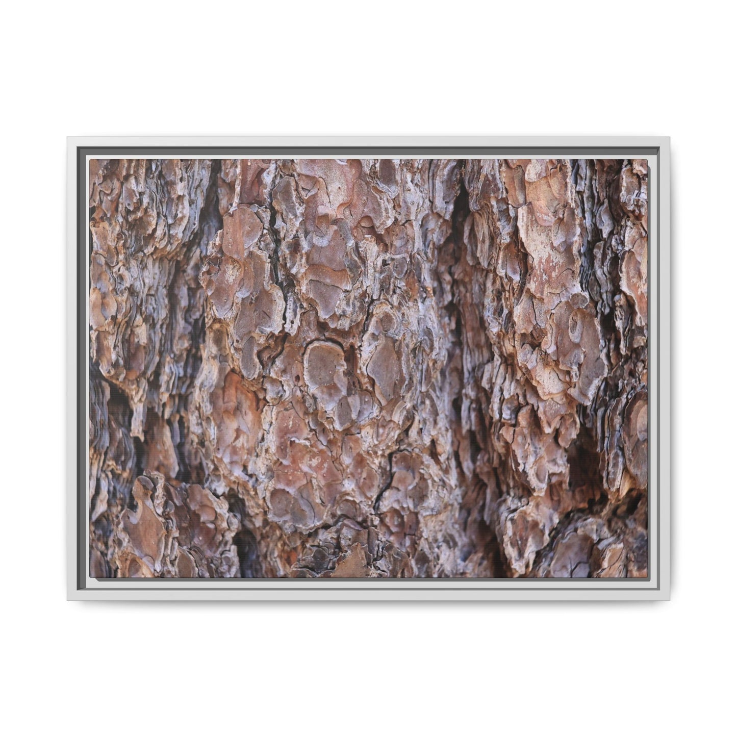 Woody Layers - Unique Stretched Canvas Wall Art