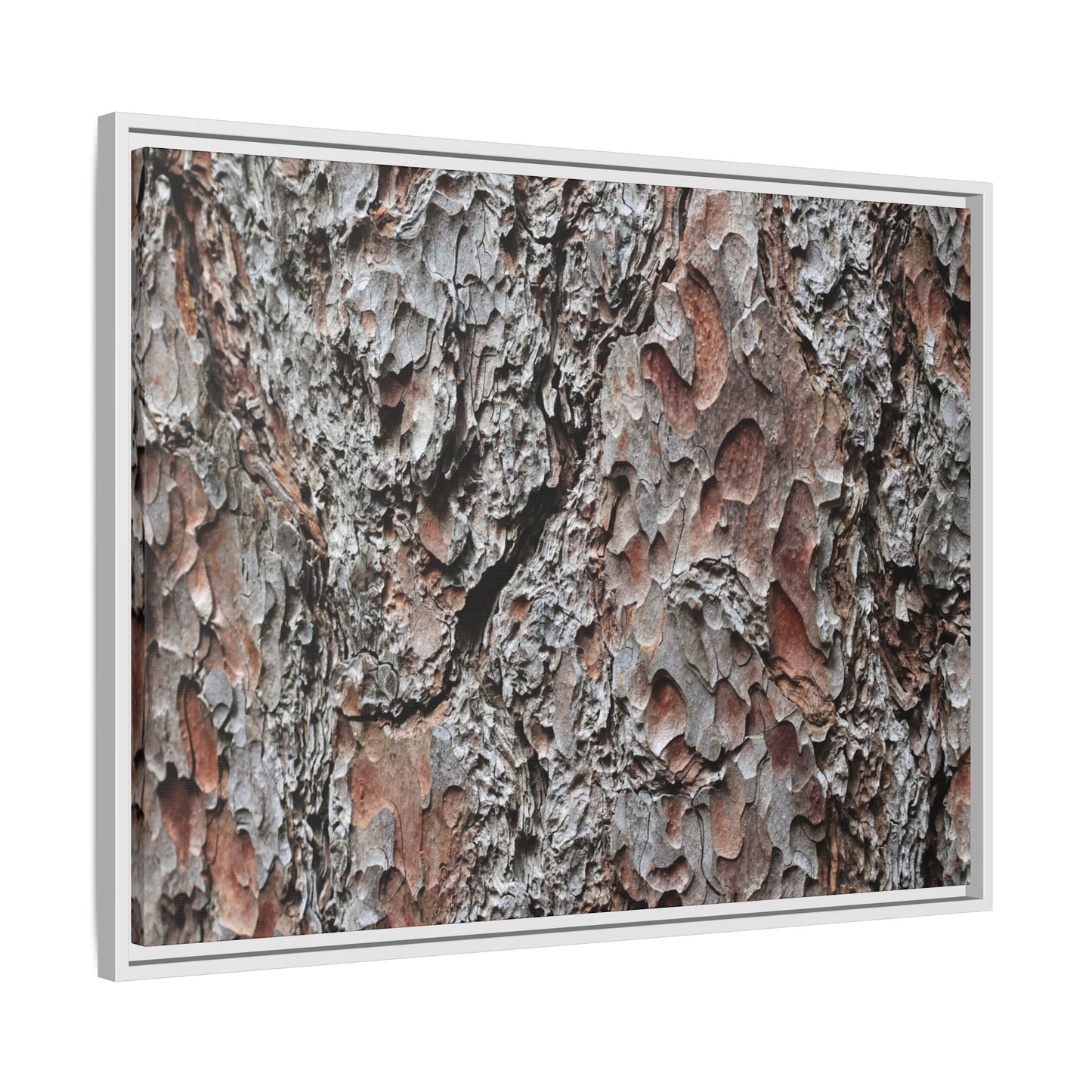 Bark Texture Symphony - Unique Stretched Canvas Wall Art