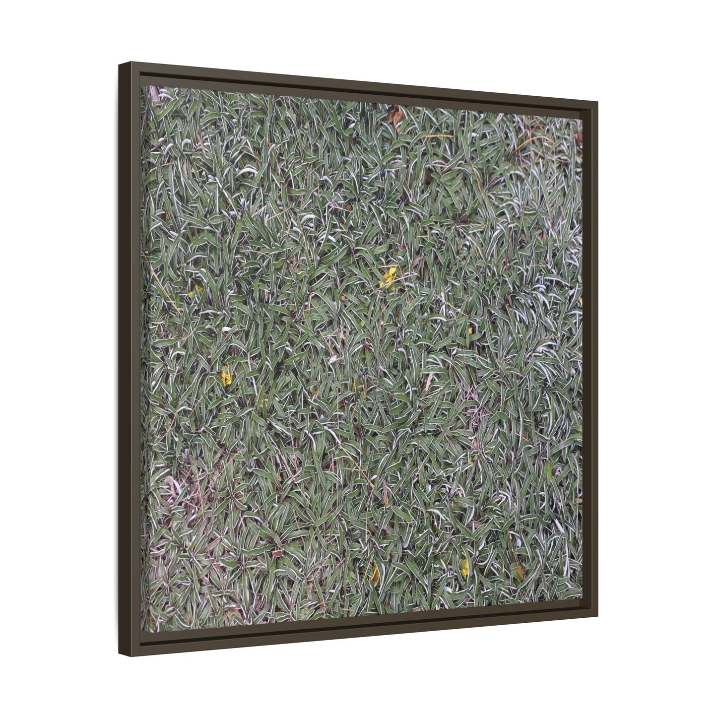 Grassy Texture - Unique Stretched Canvas Wall Art